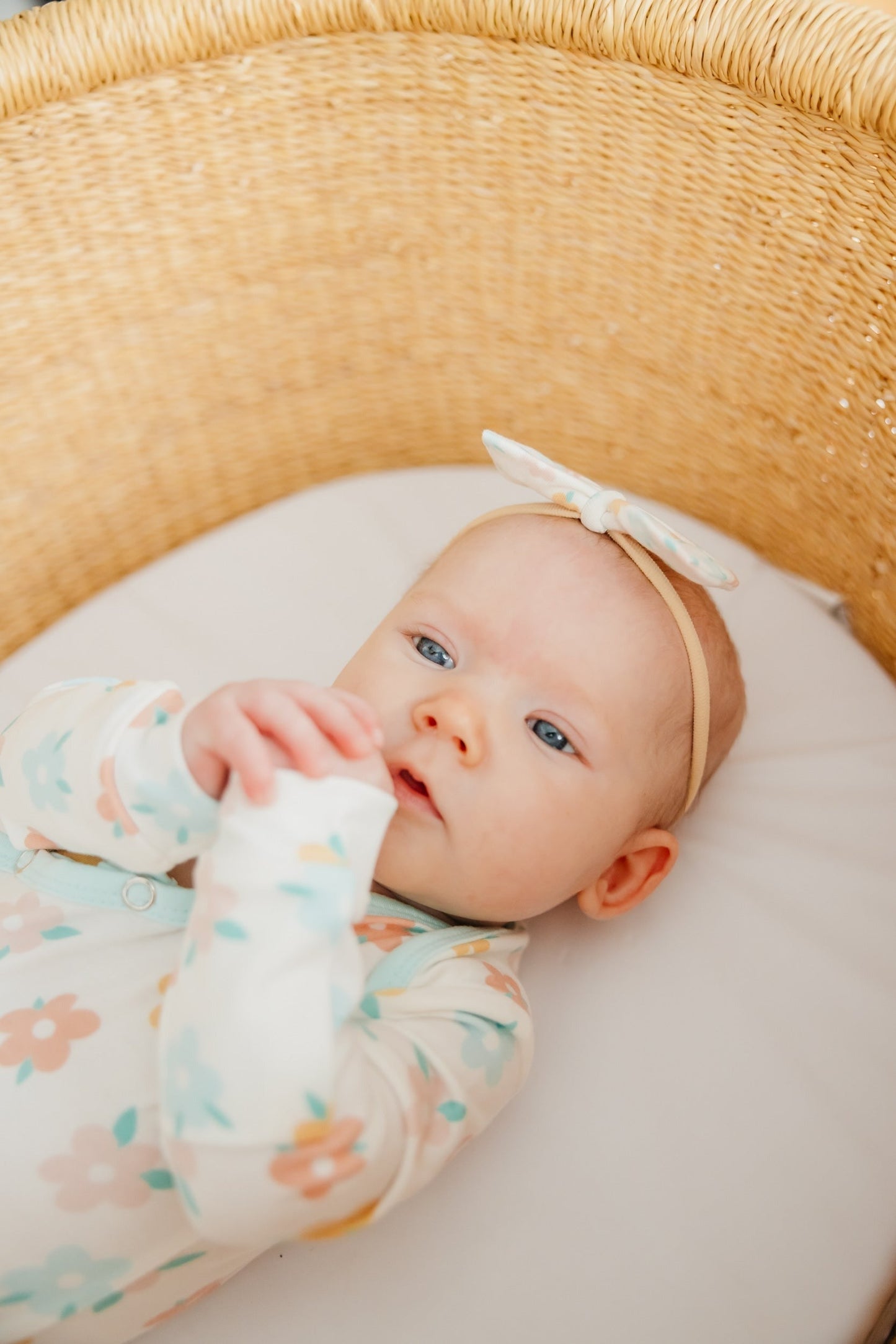 Bowtie Baby Bow - Daisy