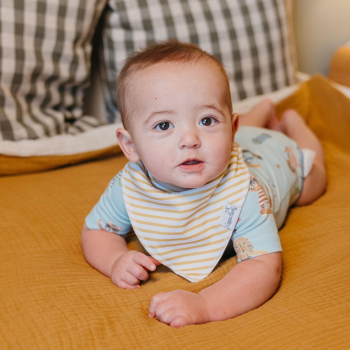 4 Pack Baby Bandana Bibs - Speedster