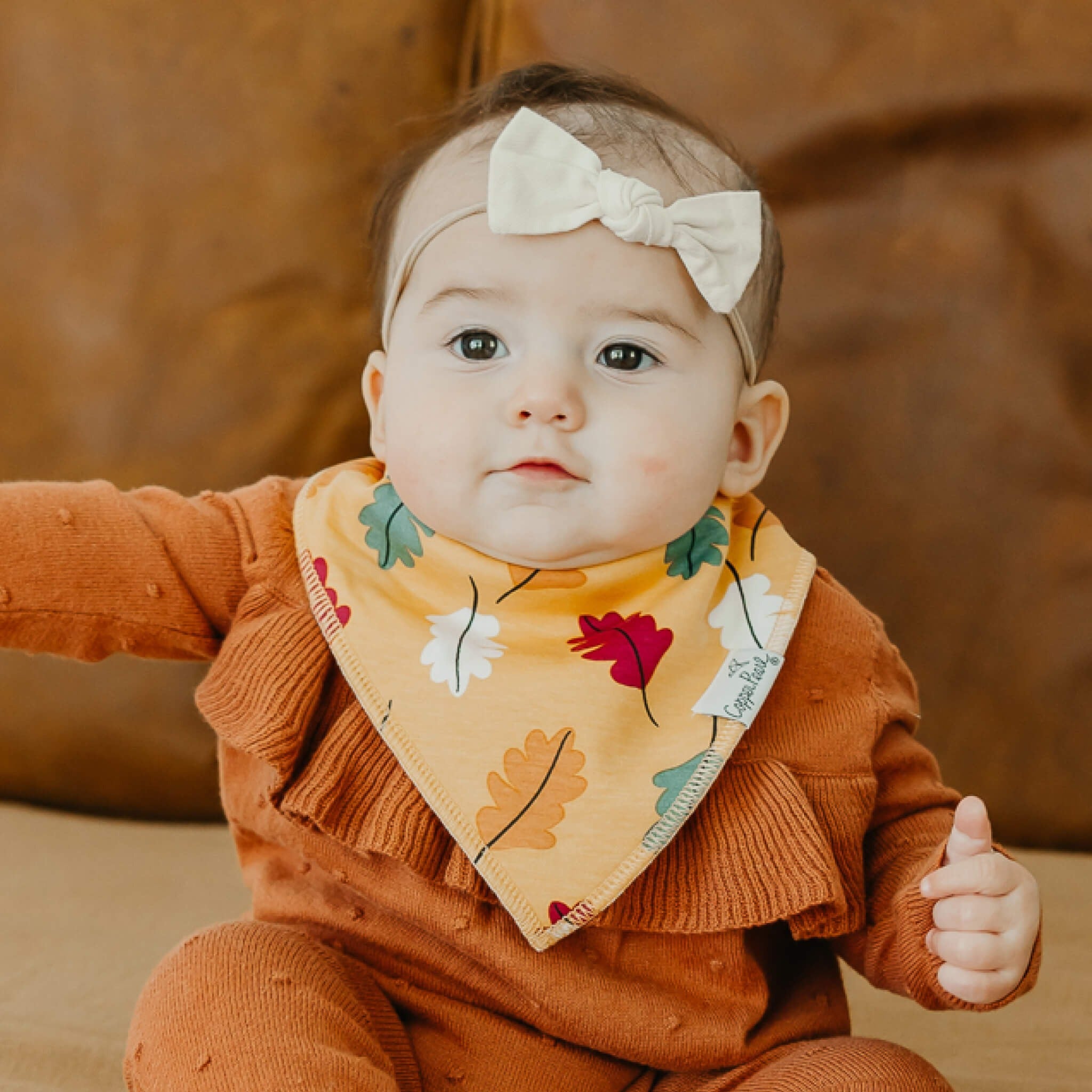 4 Pack Baby Bandana Bibs - Karver