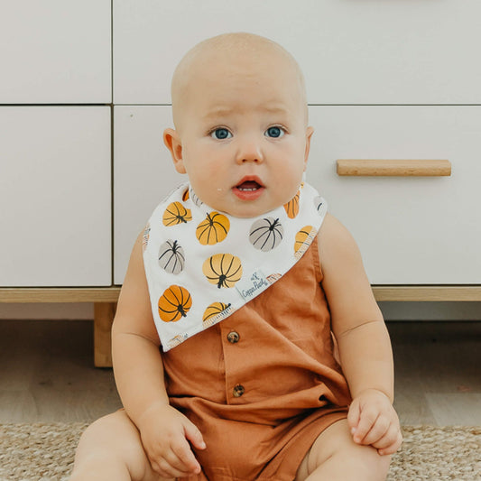 4 Pack Baby Bandana Bibs - Karver