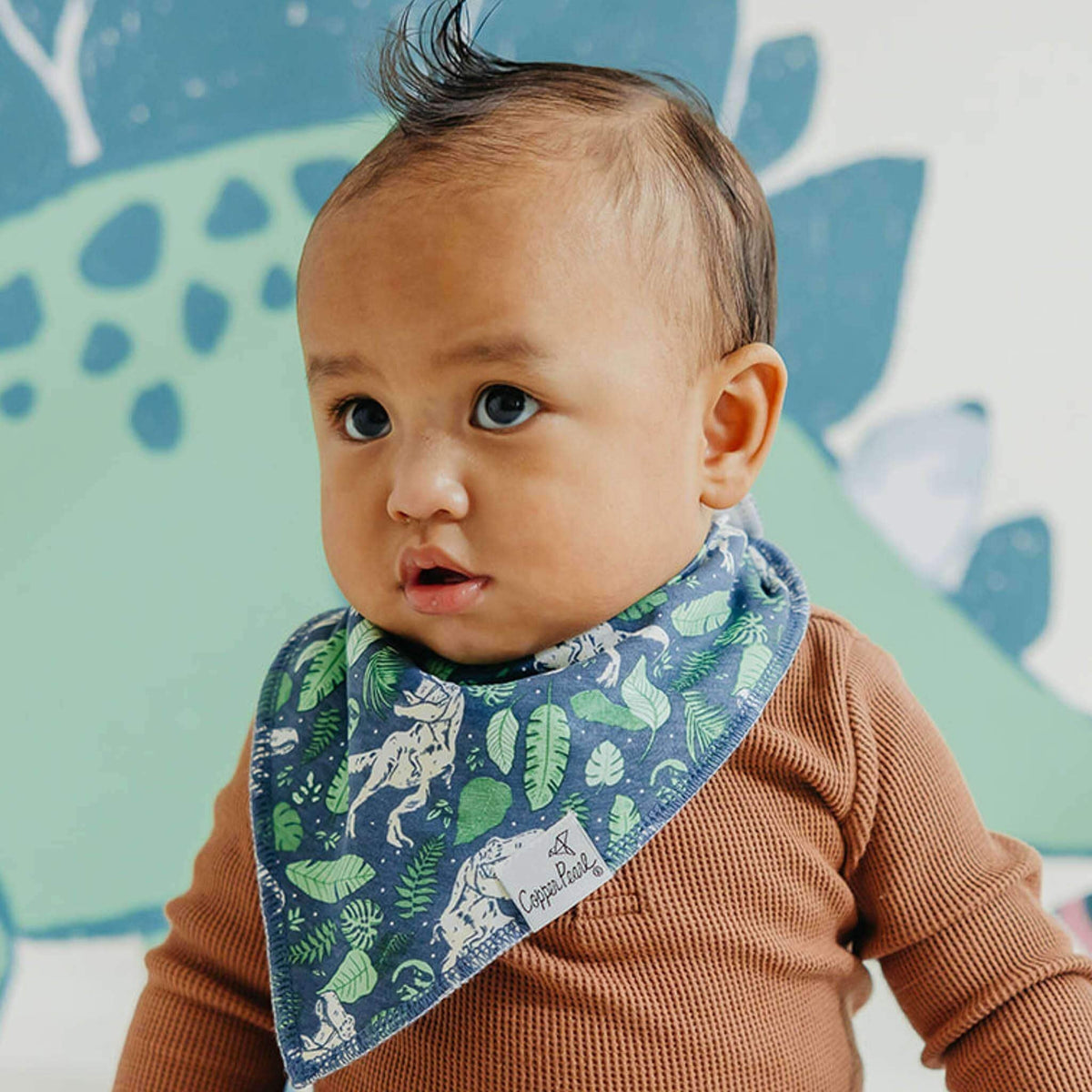 4 Pack Baby Bandana Bibs - Jurassic Park
