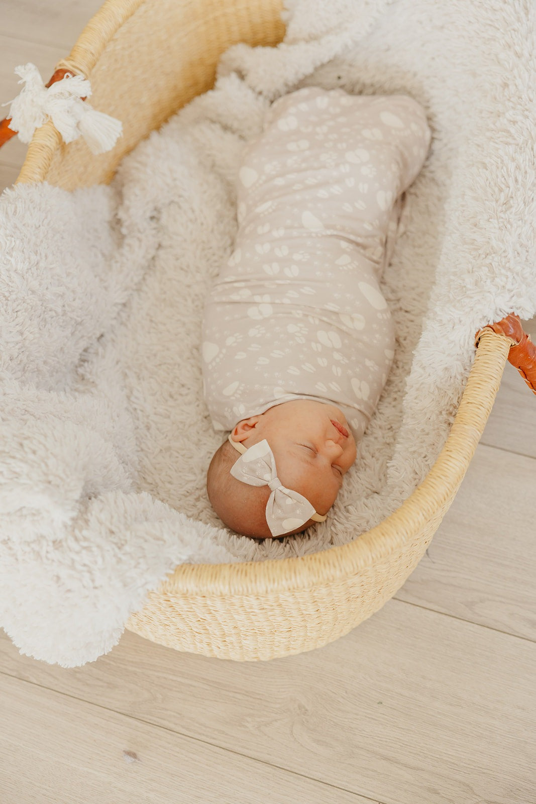 Bowtie Baby Bow - Tracker