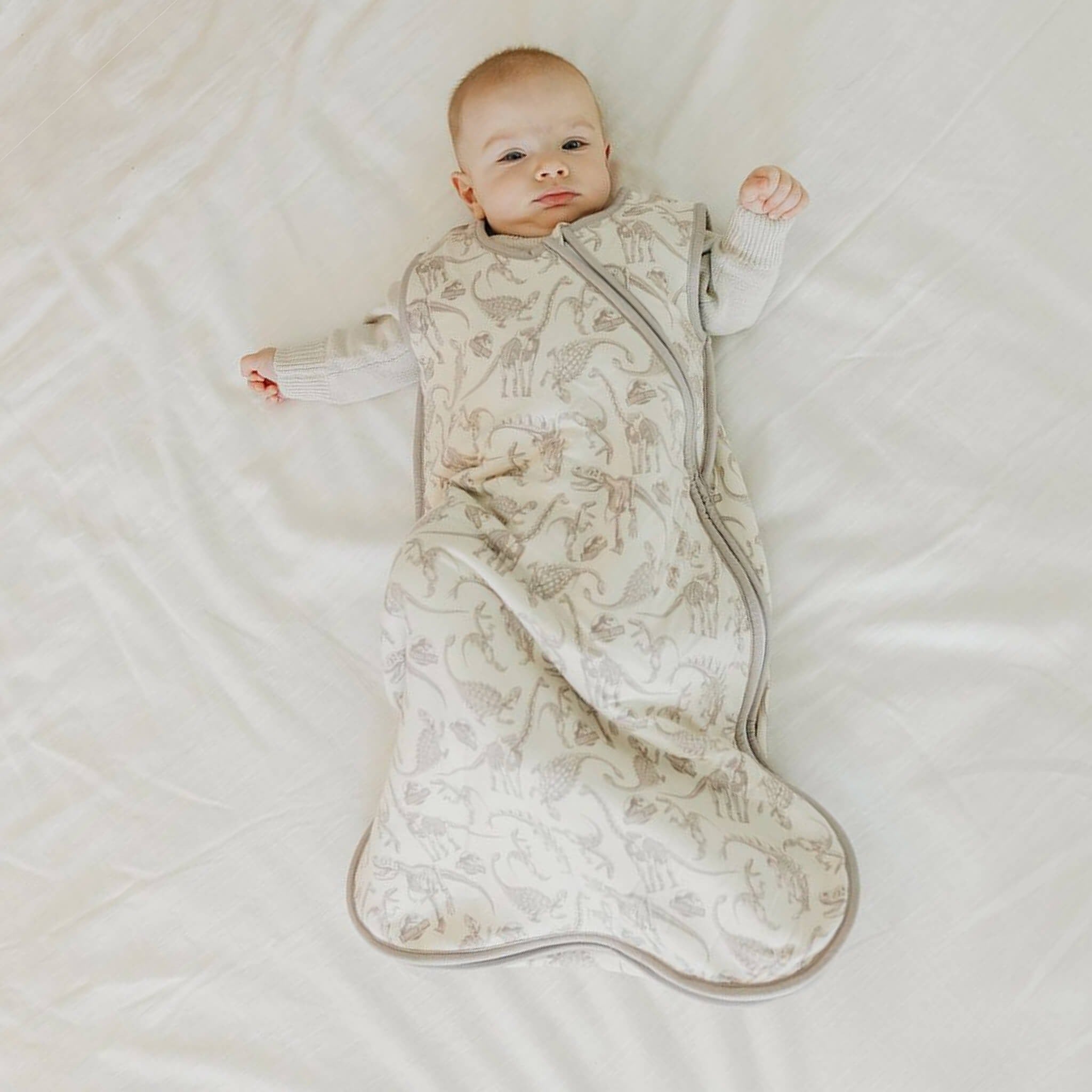 Sleep Bag - Jurassic Park Fossils