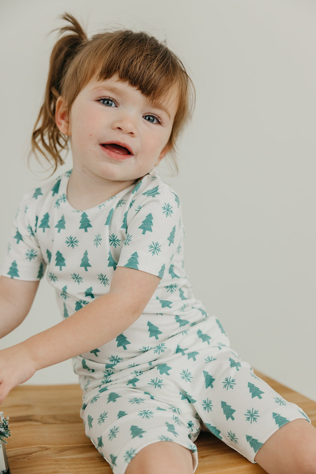 2pc Short Sleeve Pajama Set - Alps