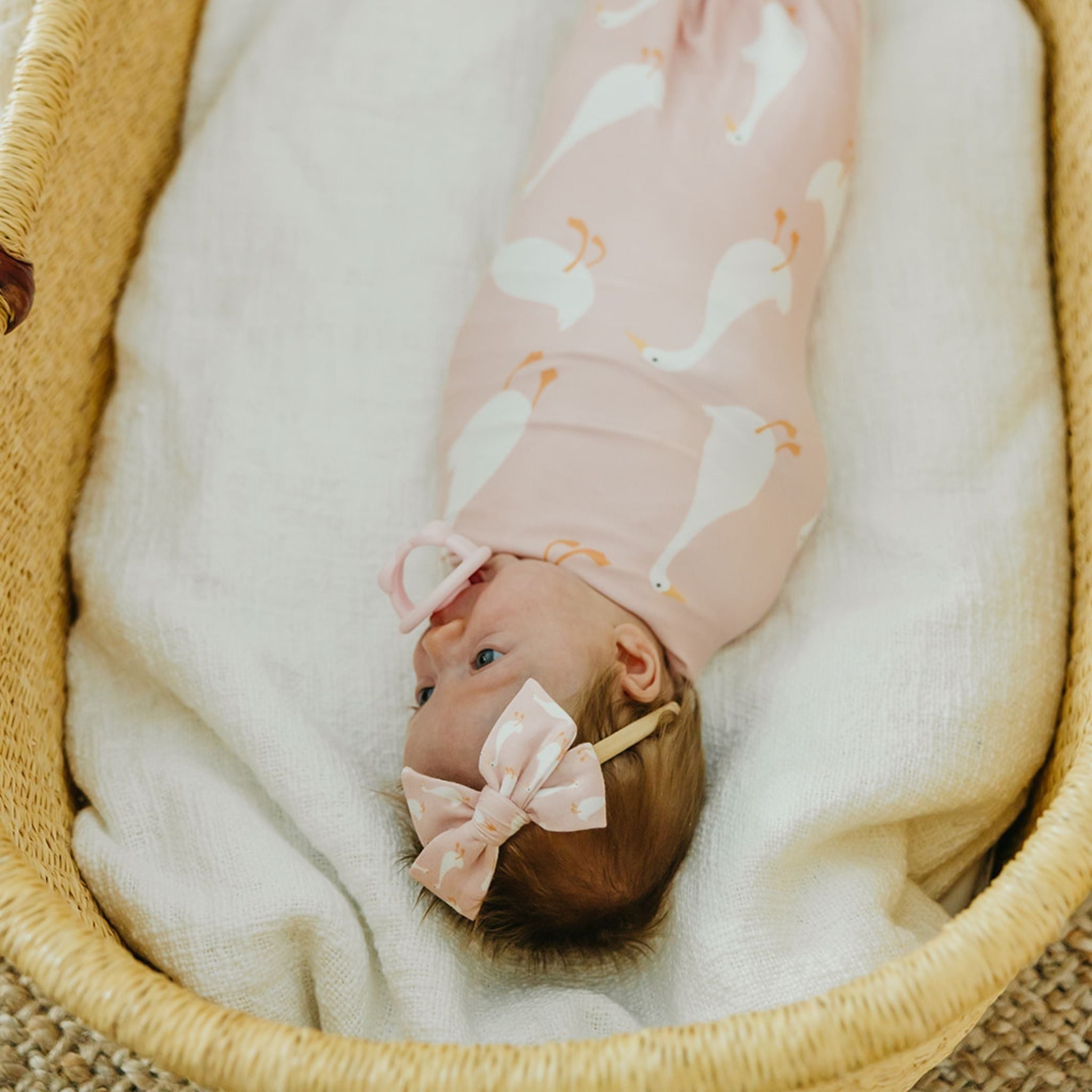 Classic Baby Bow - Goosie