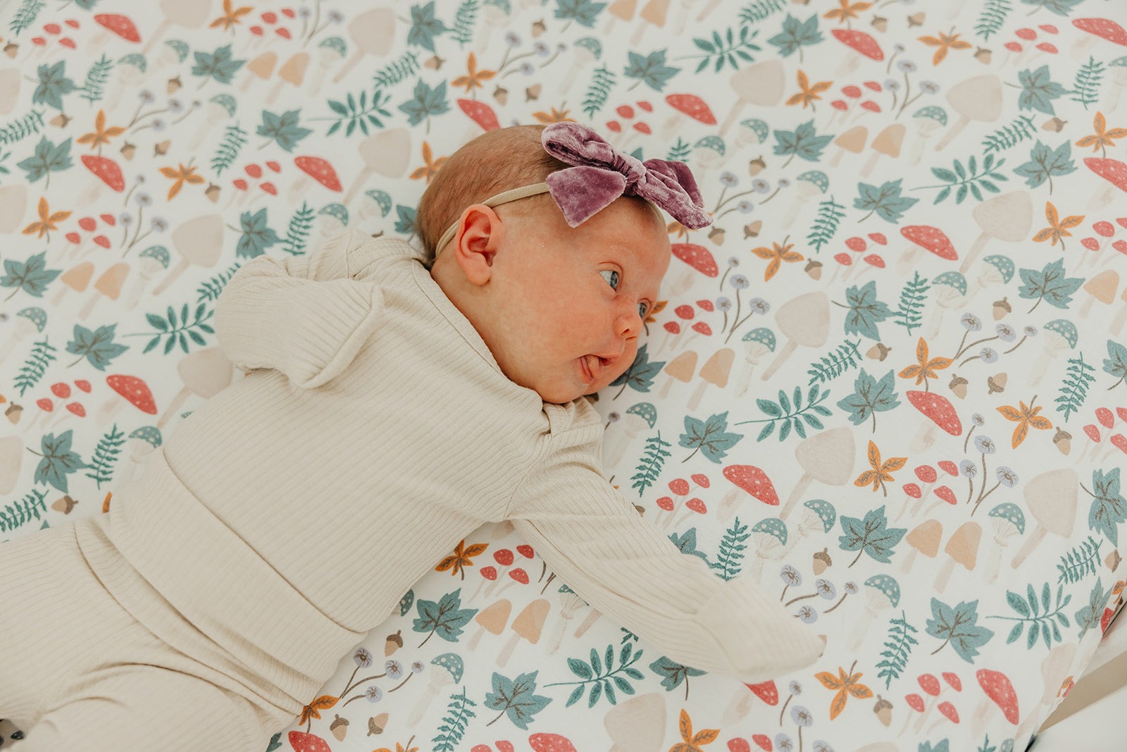 Premium Knit Fitted Crib Sheet - Ivy