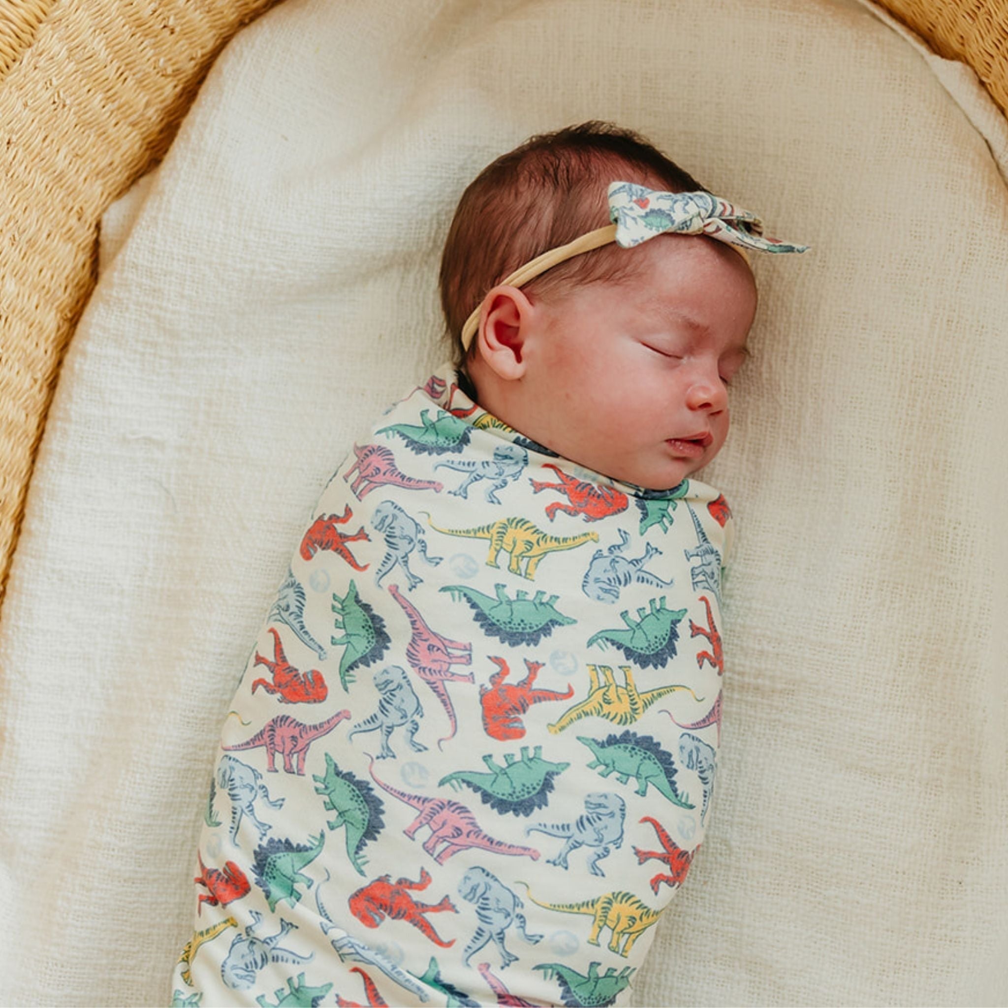 Classic Baby Bow - Dinosaurs of Jurassic Park