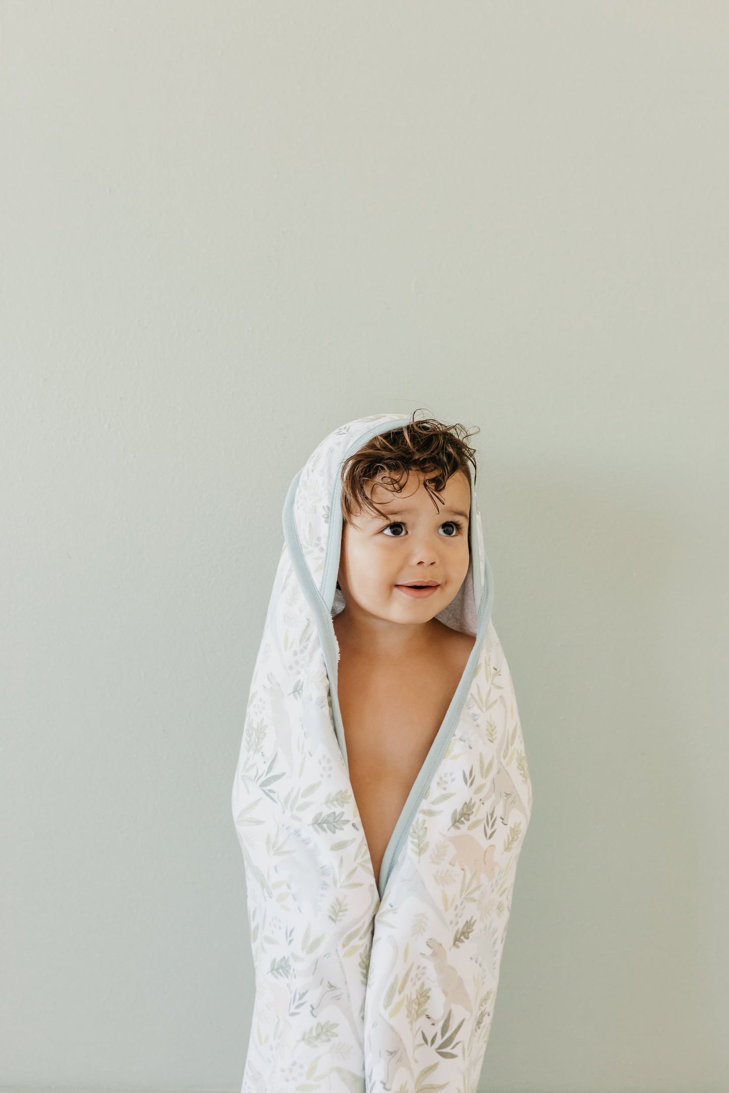 Premium Baby Knit Hooded Towel - Rex
