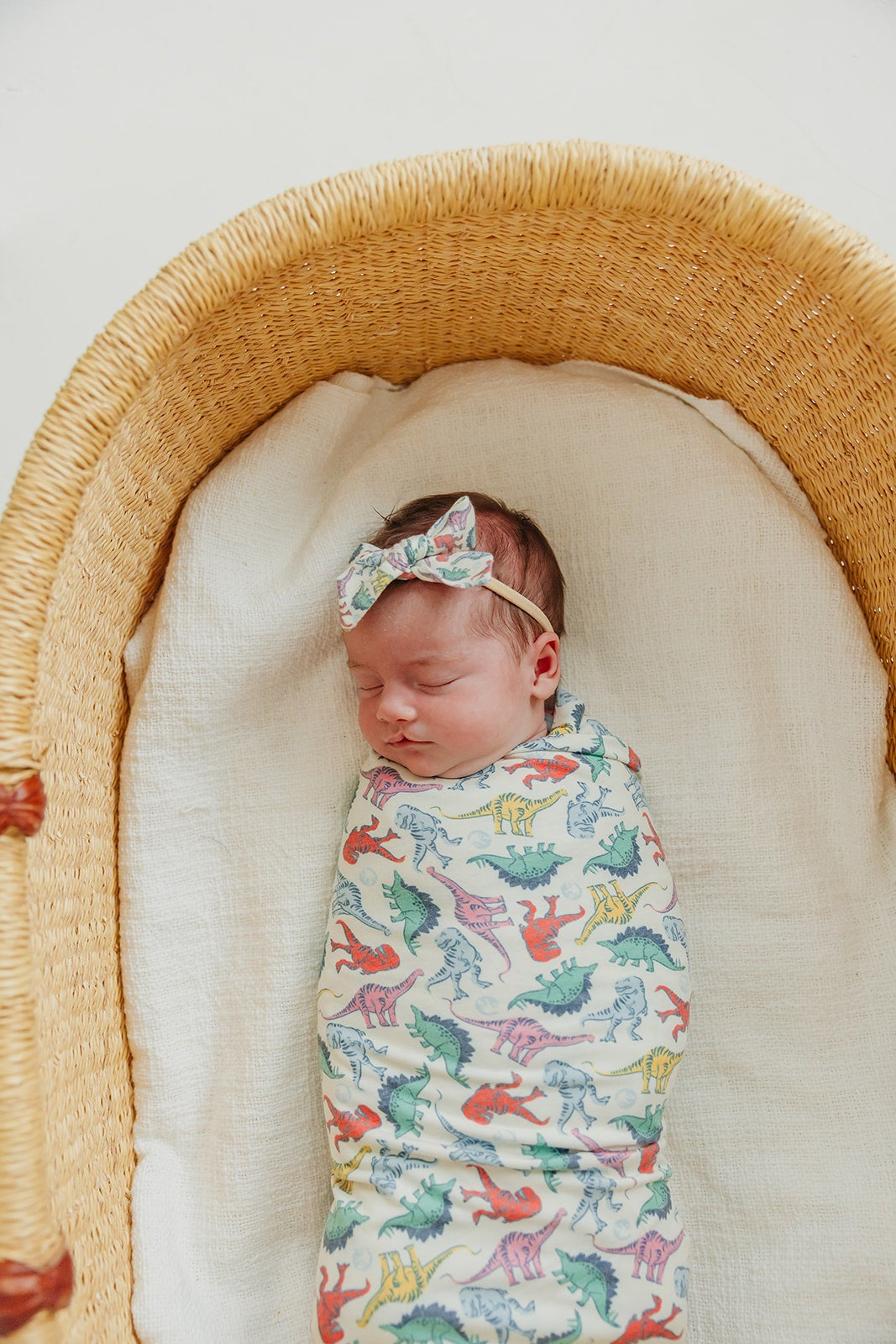 Ribbon Baby Bow - Dinosaurs of Jurassic Park