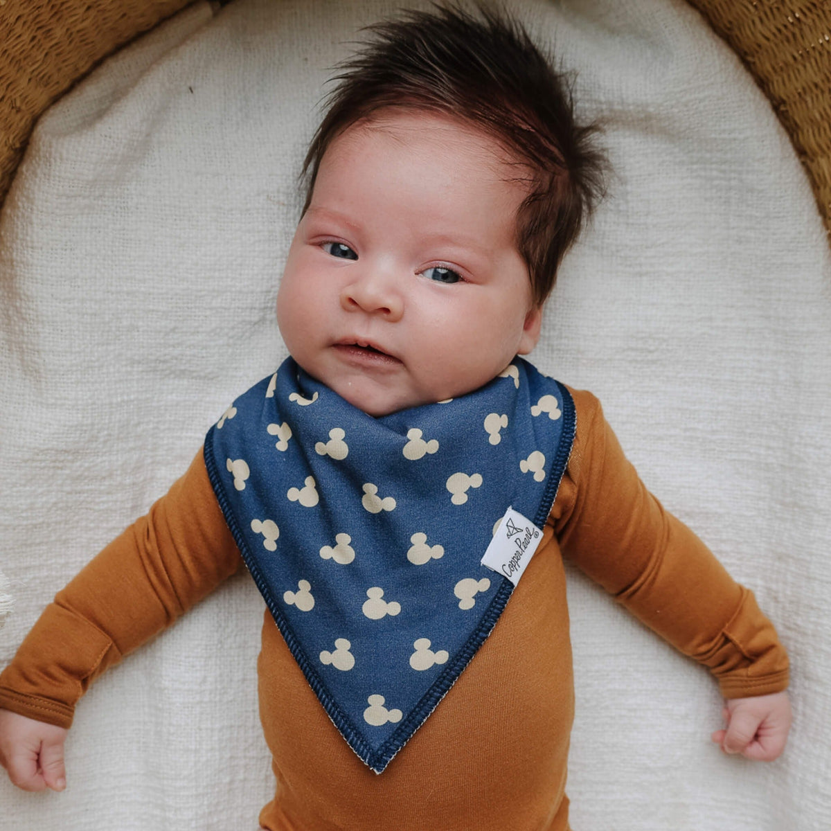 4 Pack Baby Bandana Bibs - Mickey Mouse and Friends