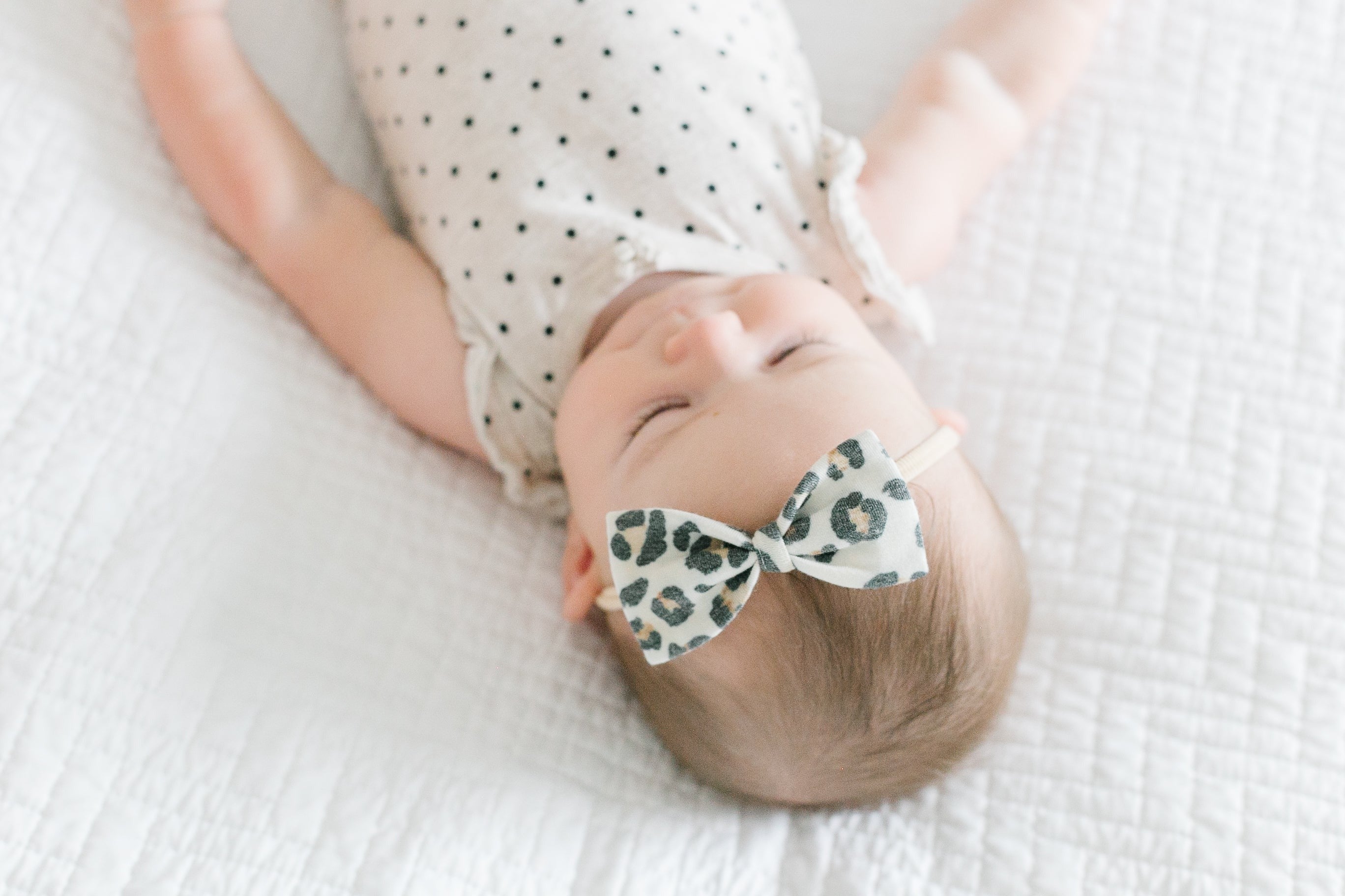 Bowtie Baby Bow - Zara