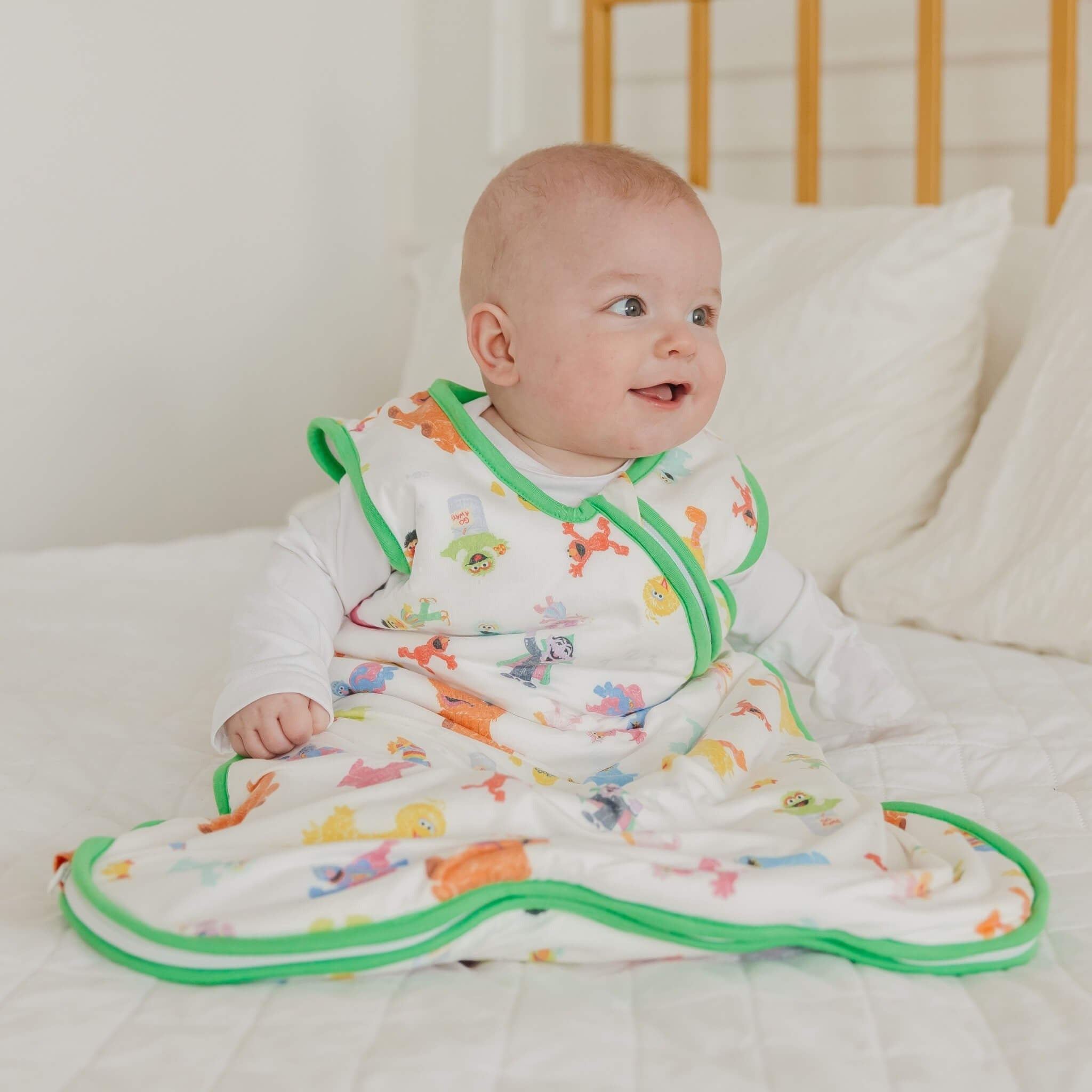 Sleep Bag - Sesame Friends