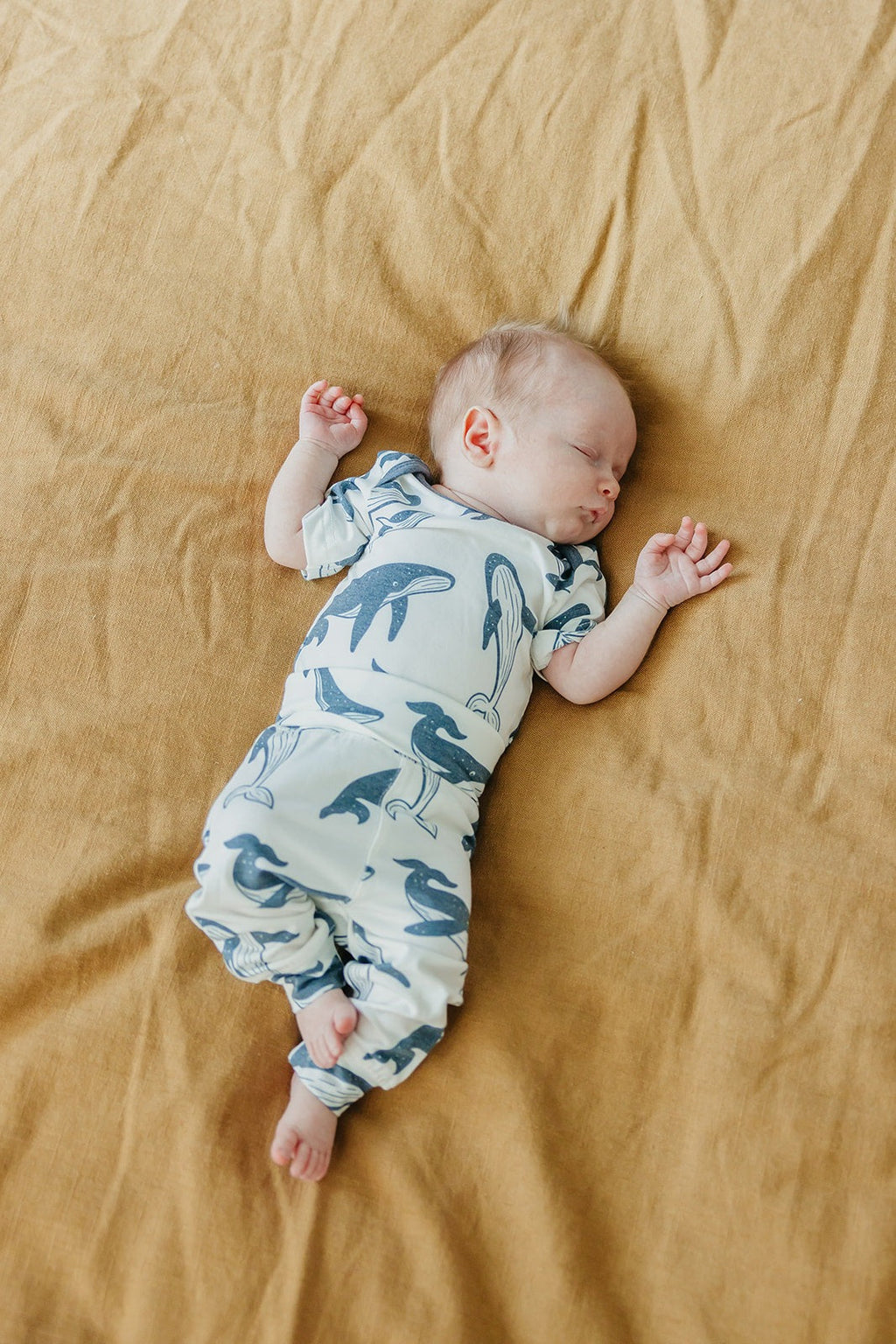 Baby Pants - Cove