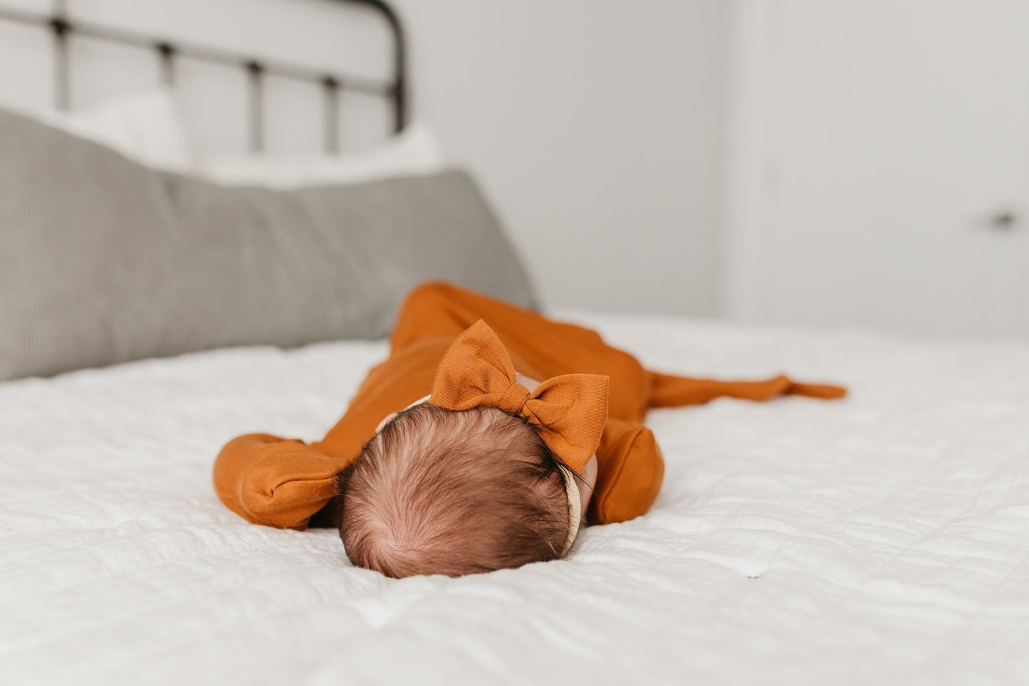 Bowtie Baby Bow - Powell