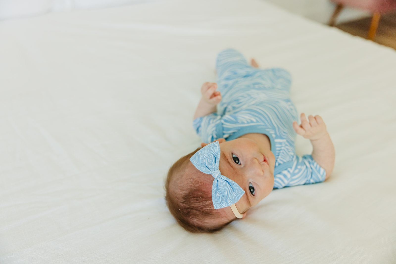 Bowtie Baby Bow - Surf