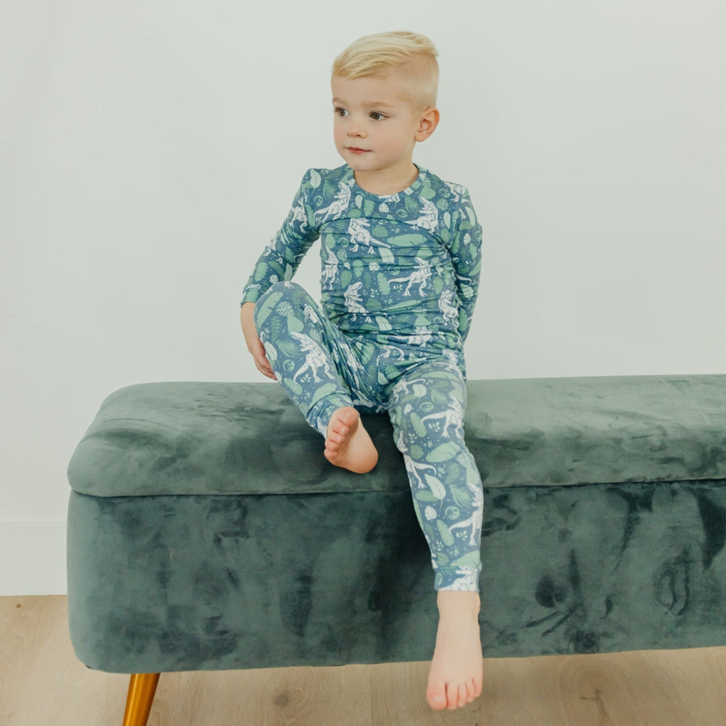 2pc Long Sleeve Pajama Set - Jurassic Park