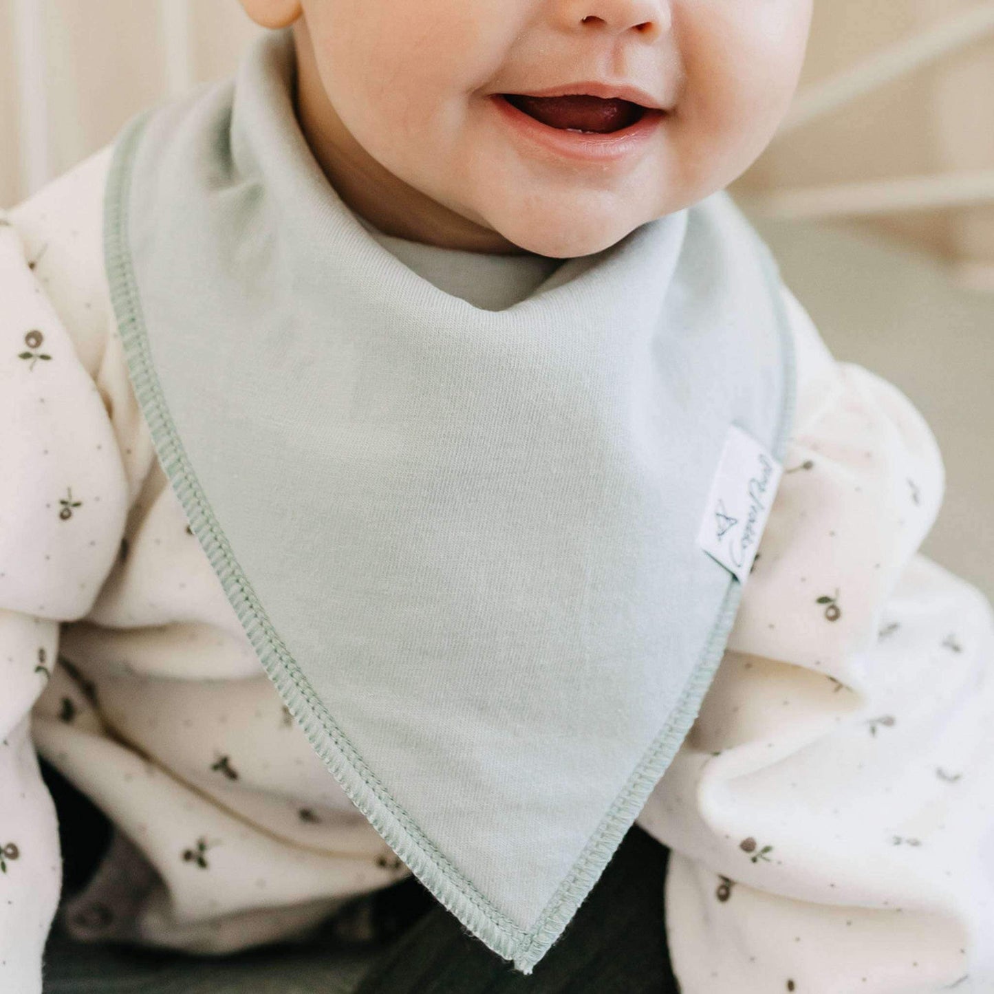 4 Pack Baby Bandana Bibs - Rex
