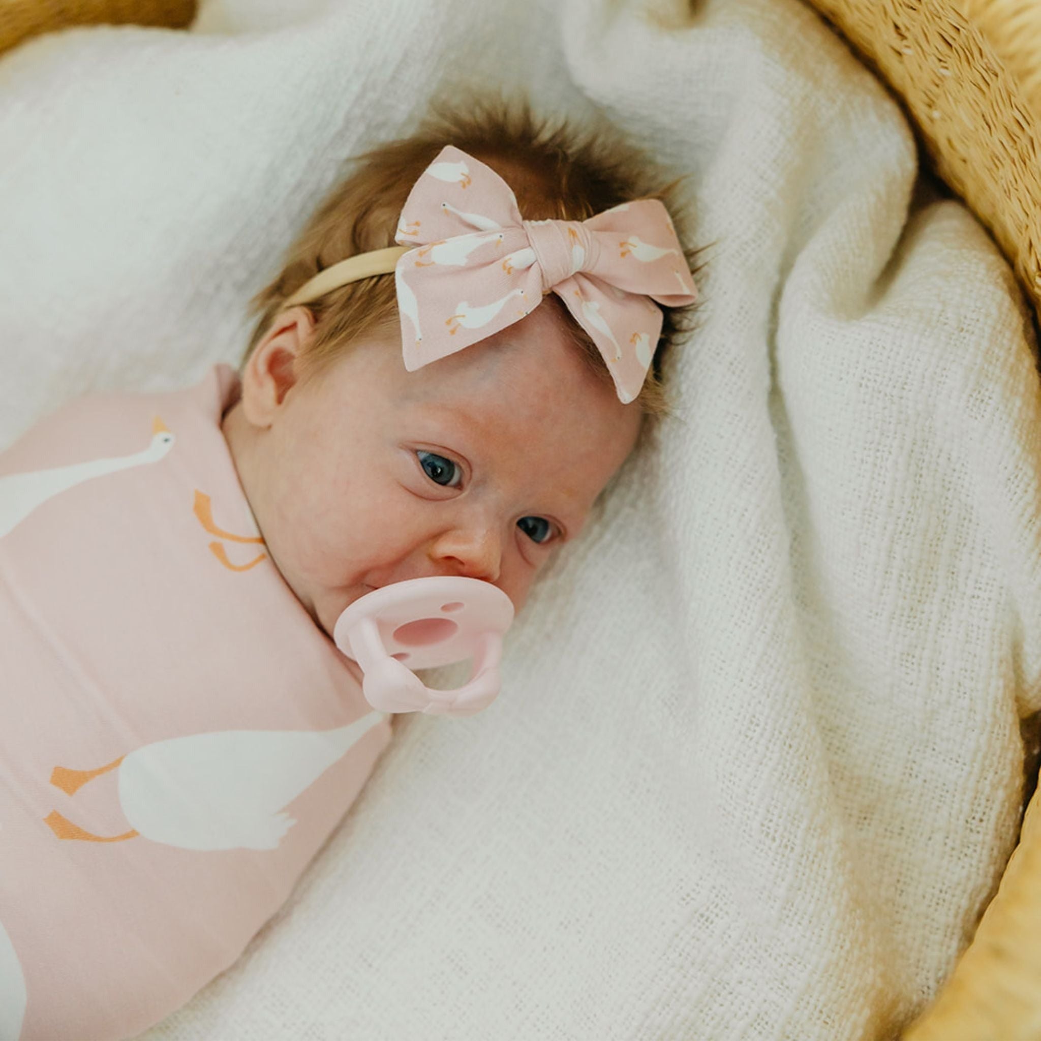 Classic Baby Bow - Goosie