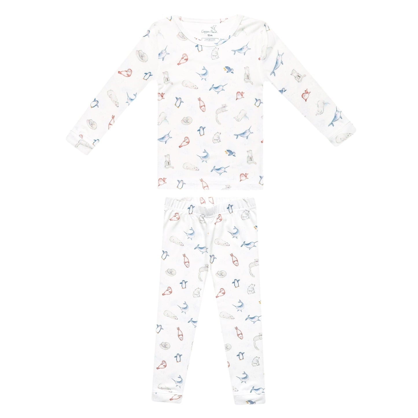 2pc Long Sleeve Pajama Set - Arctic Wonder