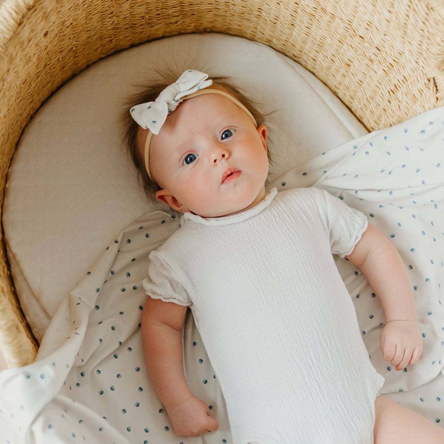 Classic Baby Bow - Haze
