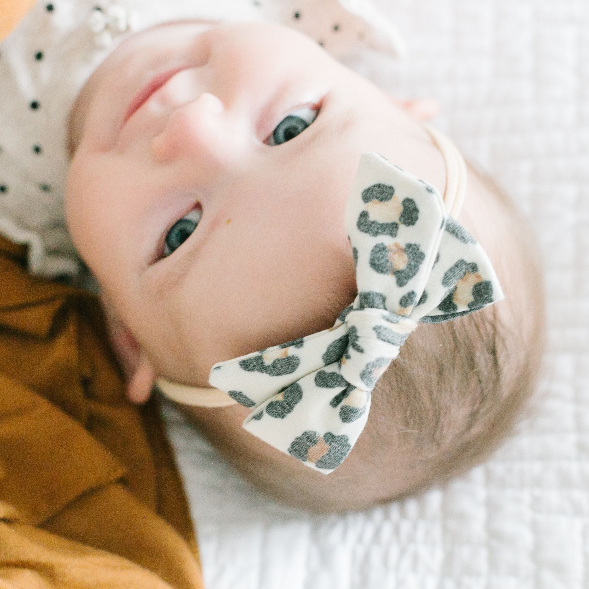 Classic Baby Bow - Zara