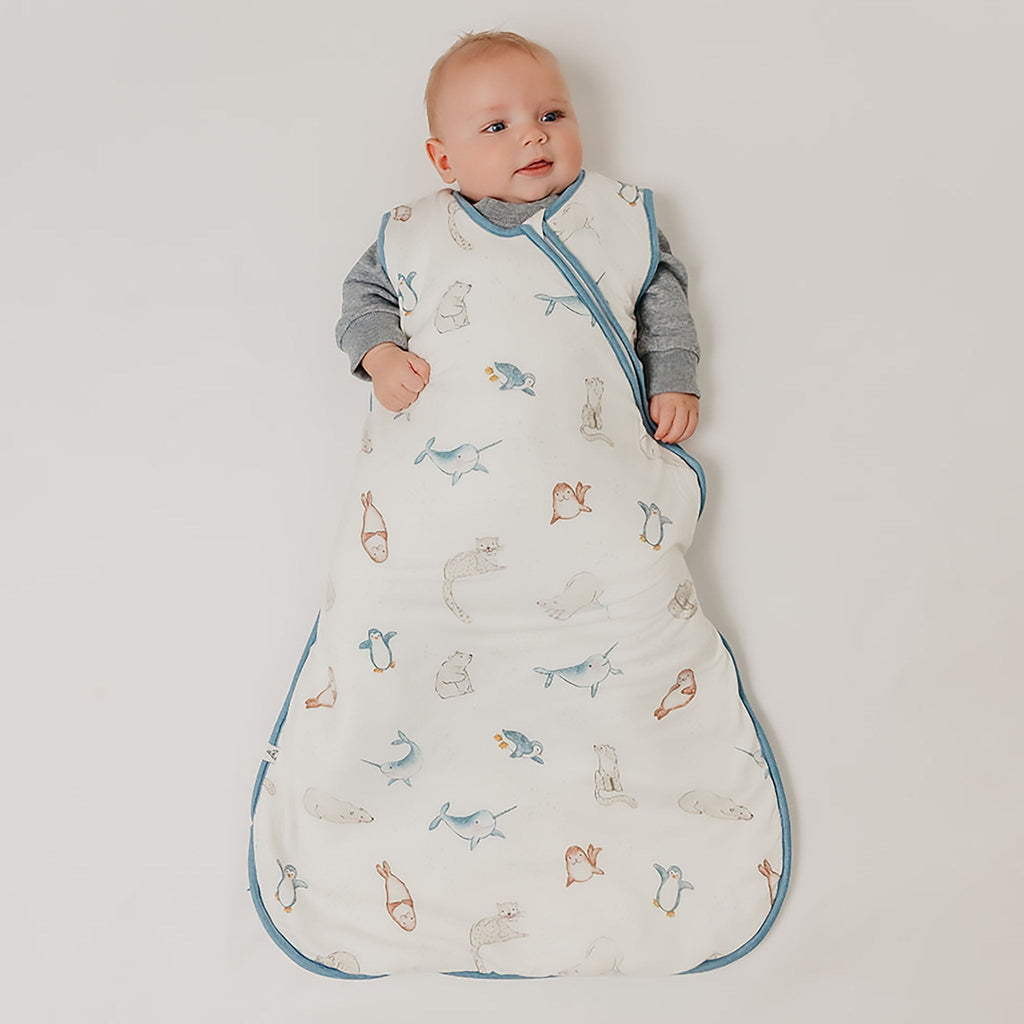 Sleep Bag - Arctic Wonder