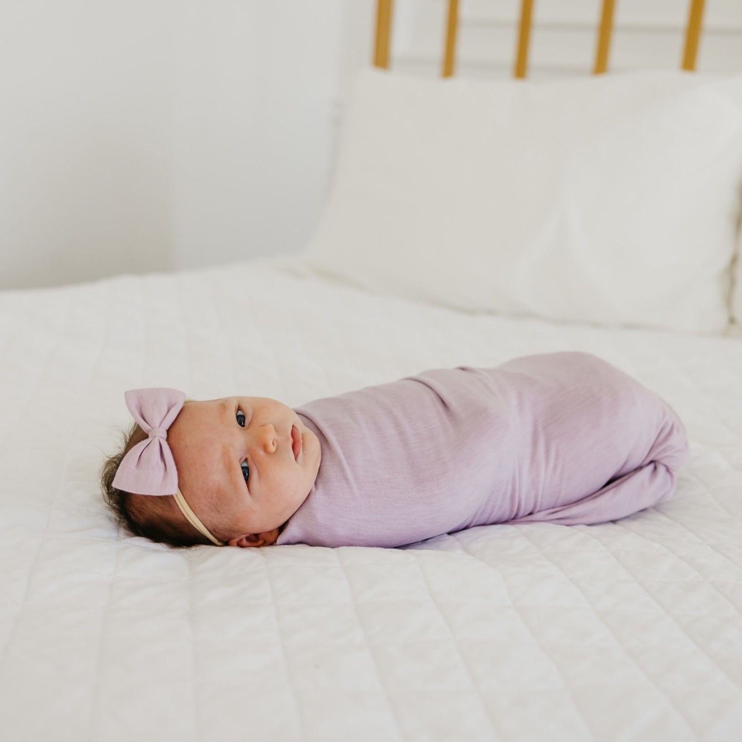 Bowtie Baby Bow - Lily