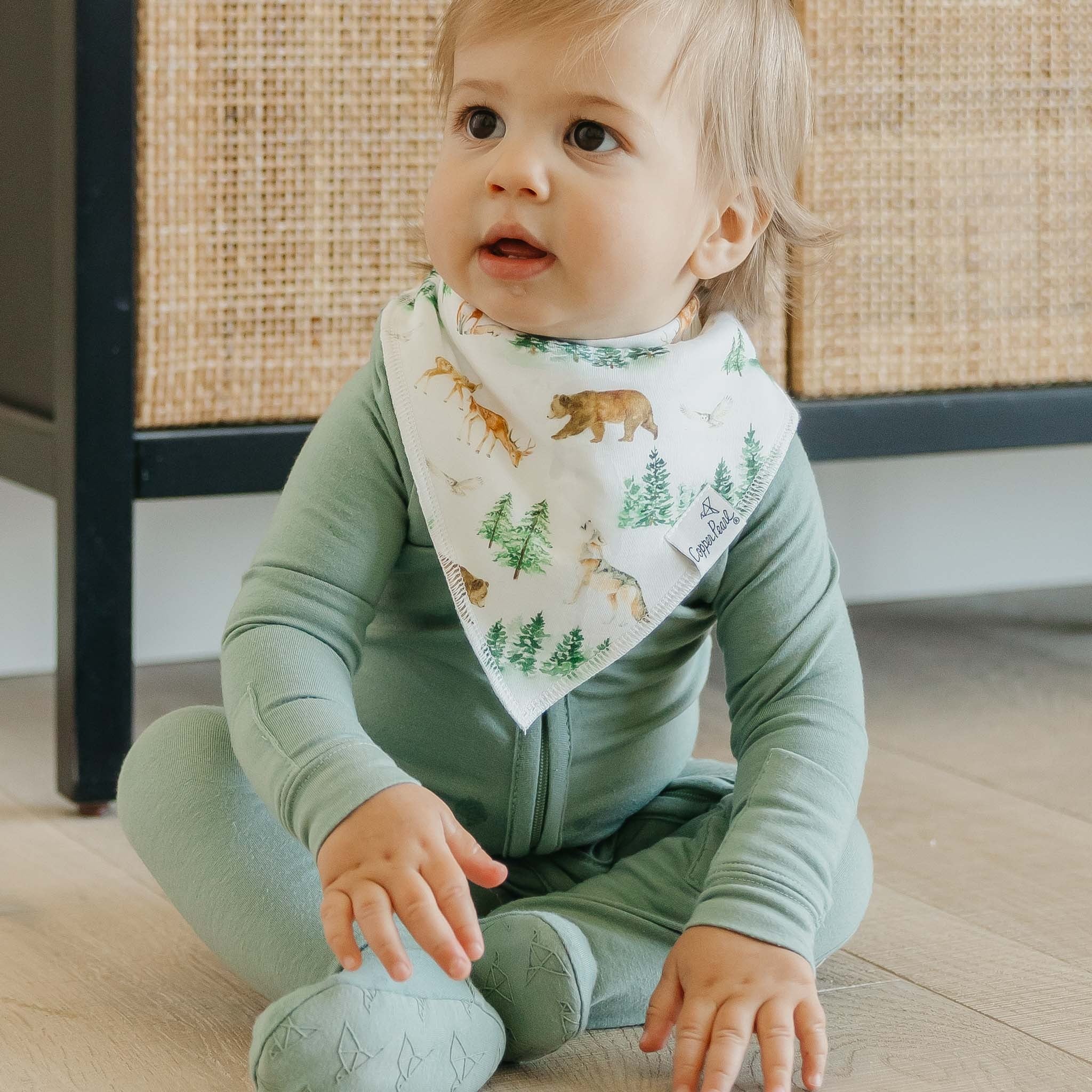 4 Pack Baby Bandana Bibs - Wilder