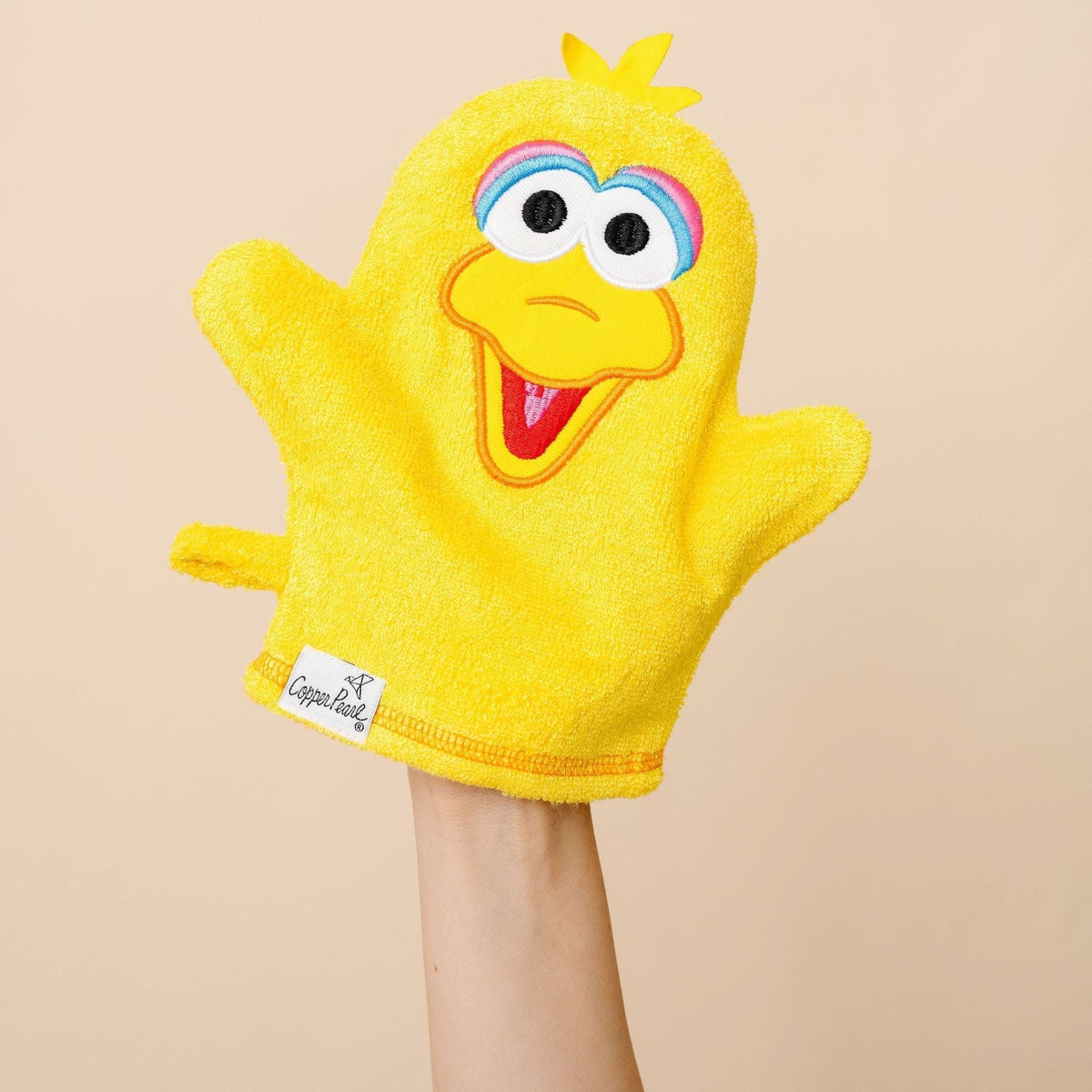 Wash Mitt - Big Bird