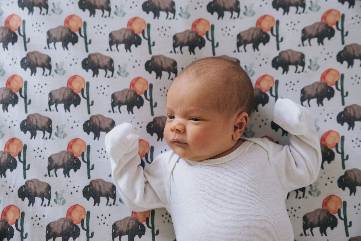 Premium Knit Fitted Crib Sheet - Bison