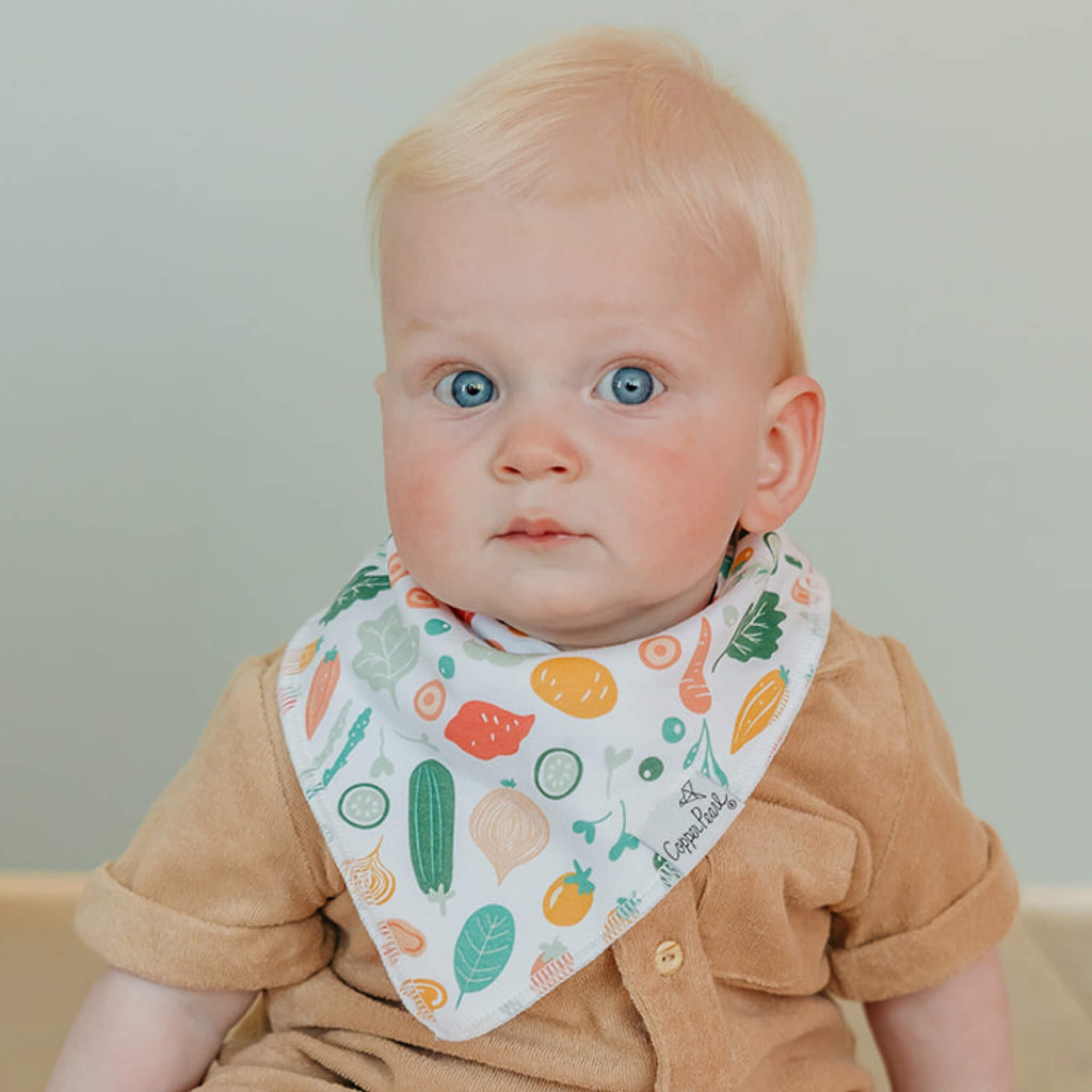 4 Pack Baby Bandana Bibs - Veggies