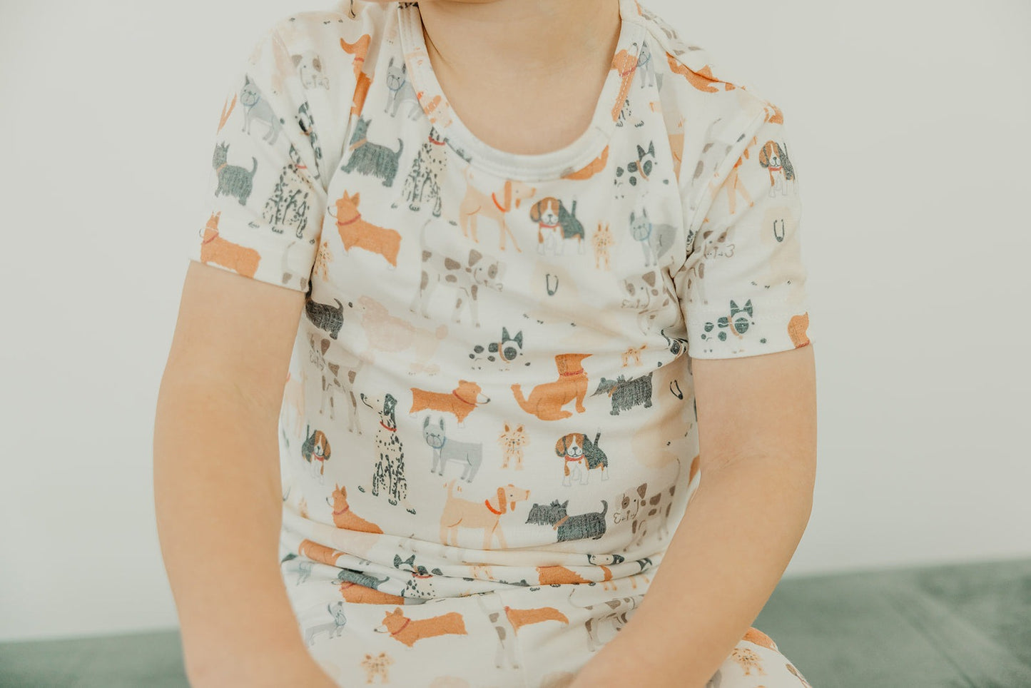 2pc Short Sleeve Pajama Set - Rufus