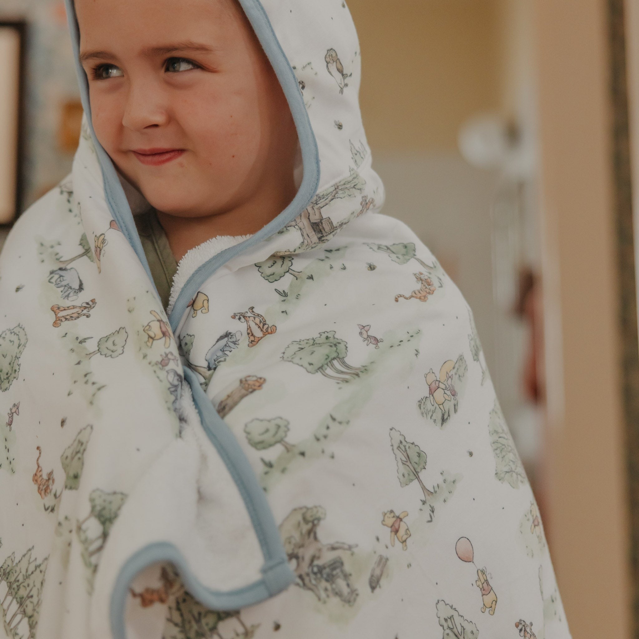 Premium Big Kid Hooded Towel - Hundred Acre Wood