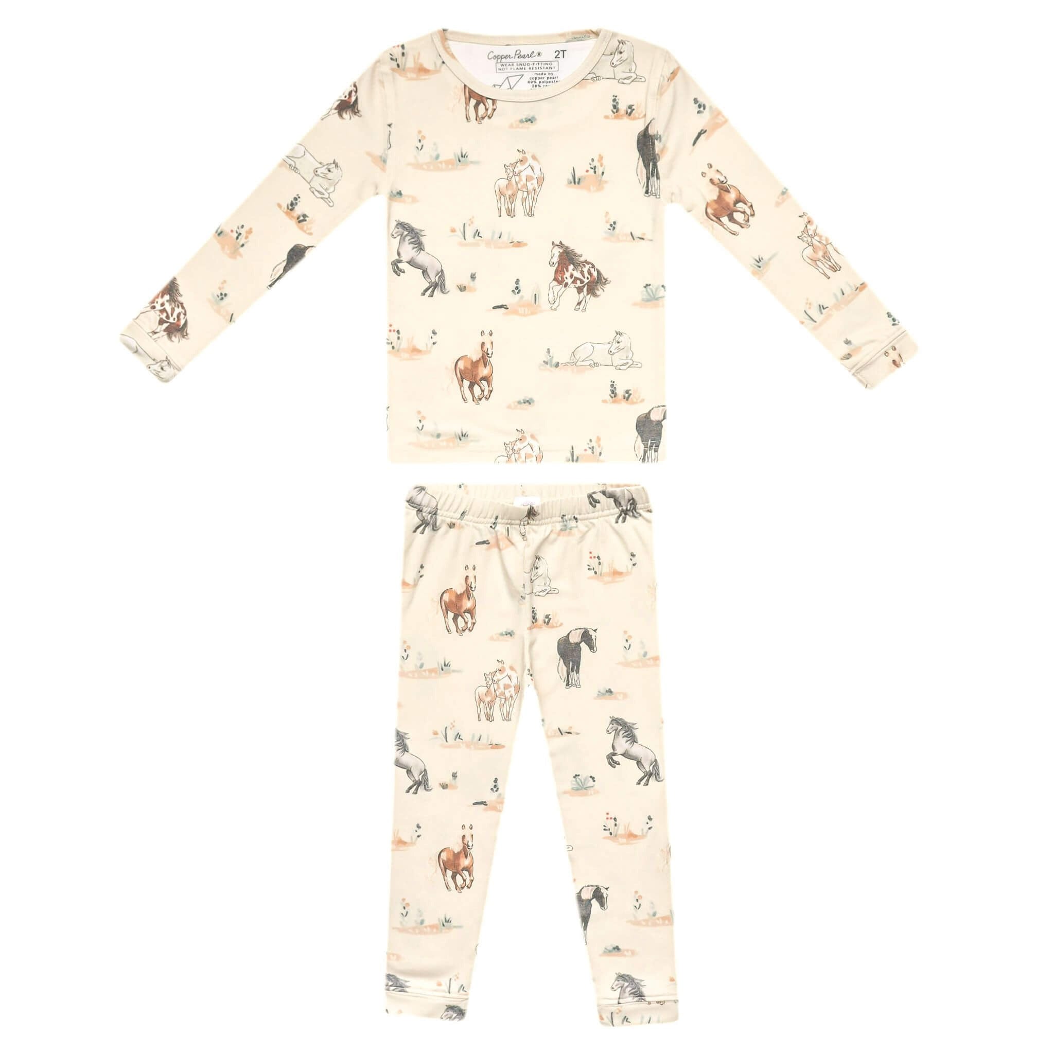 2pc Long Sleeve Pajama Set - Montana