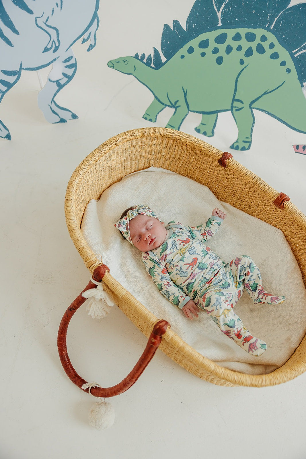 Footed Baby Pants - Dinosaurs of Jurassic Park