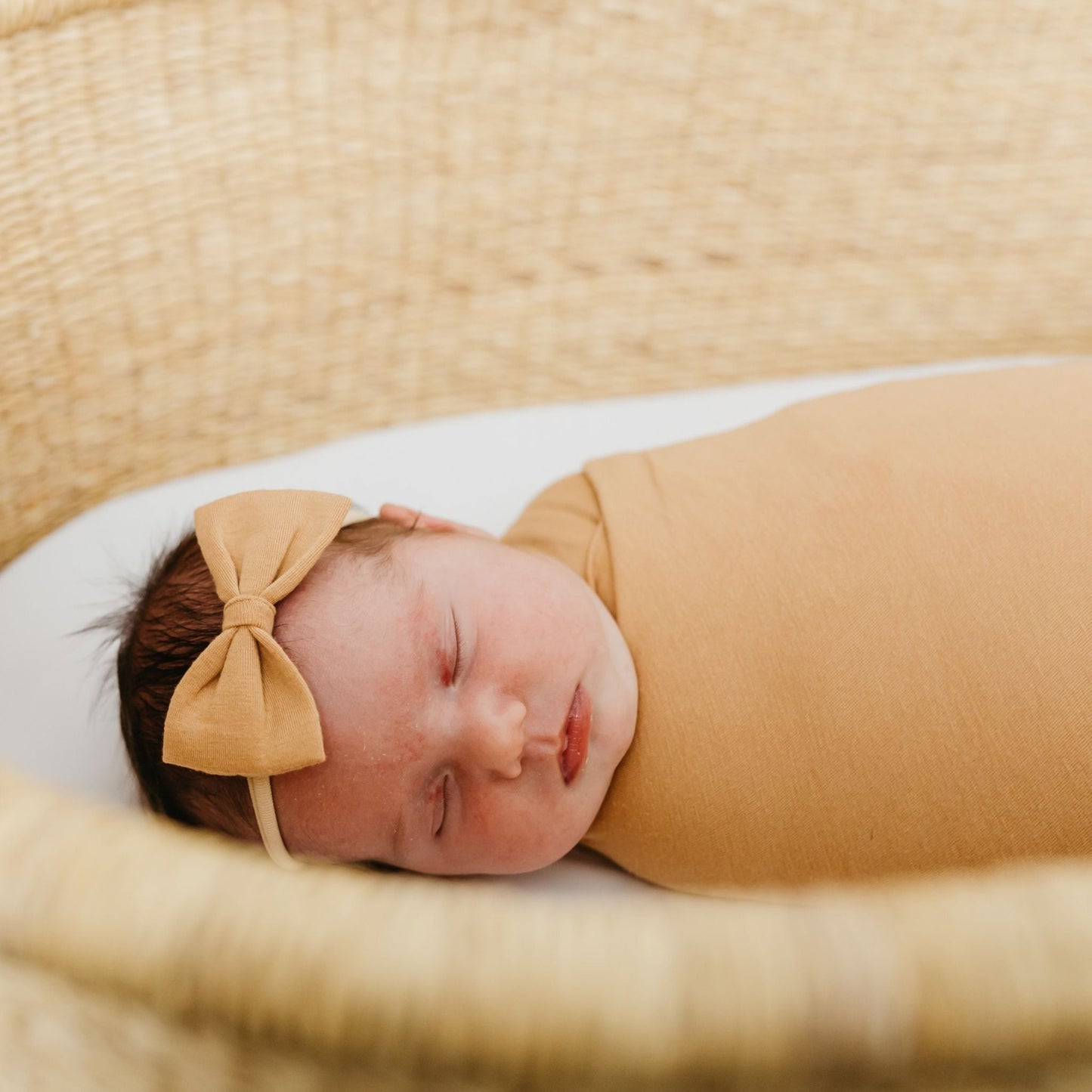 Bowtie Baby Bow - Dune