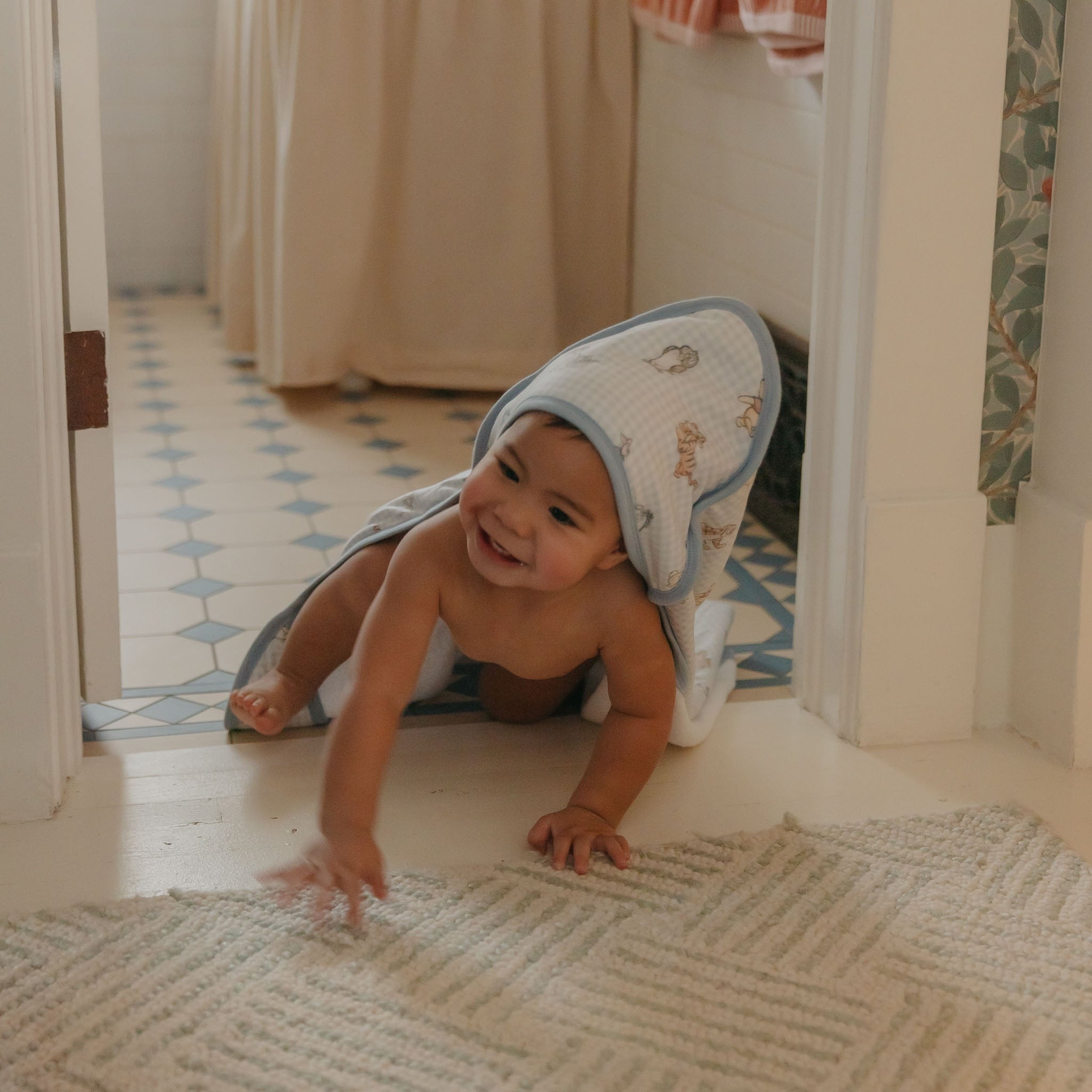 Premium Baby Knit Hooded Towel - Winnie the Pooh and Friends