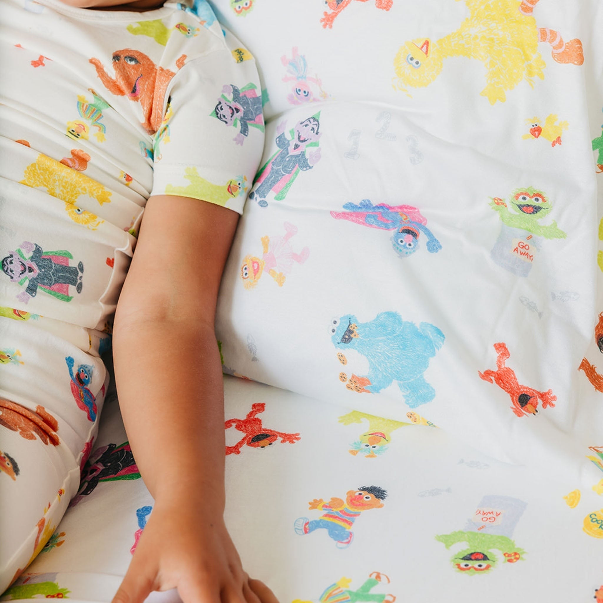 Premium Twin Sheet Set - Sesame Friends