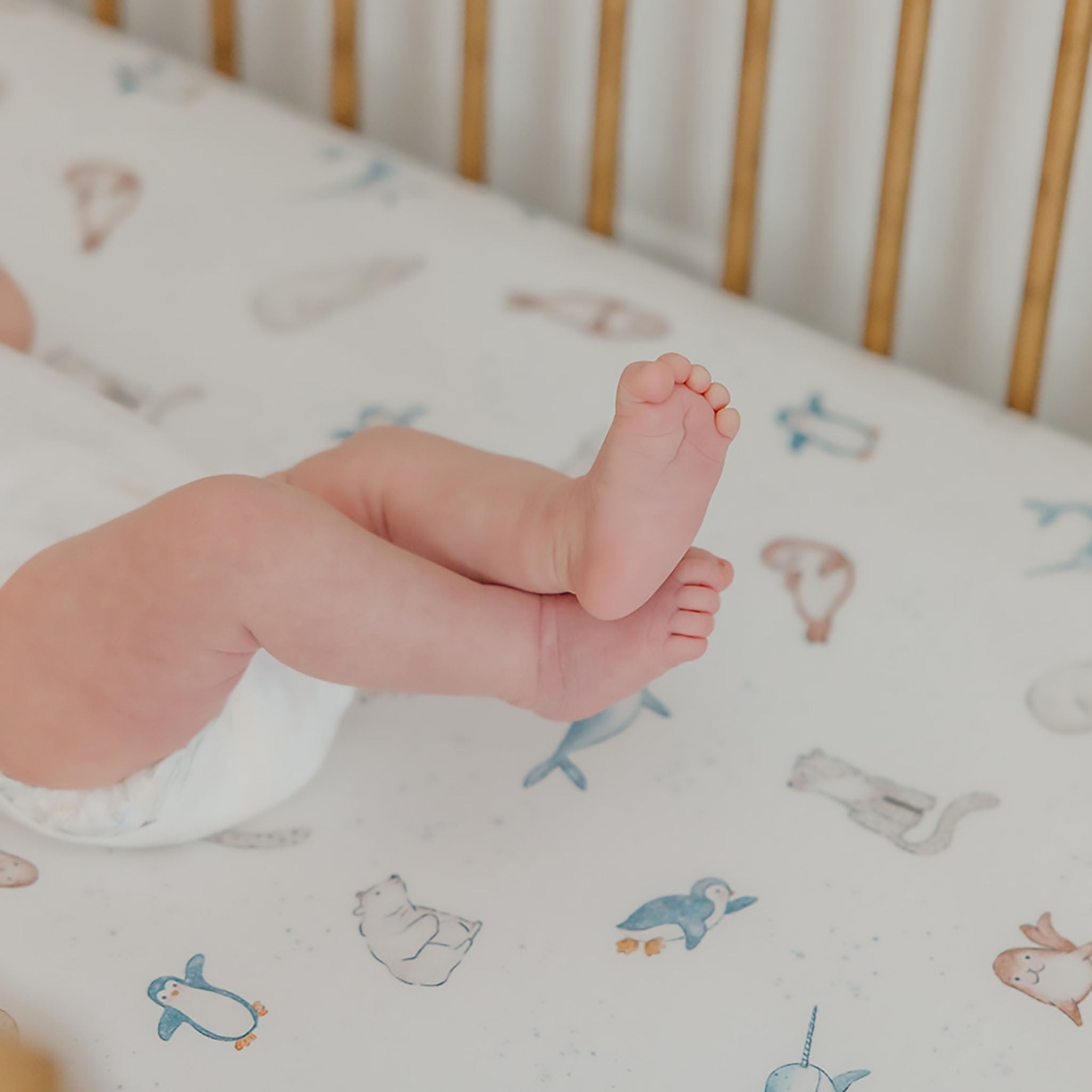 Premium Knit Fitted Crib Sheet - Arctic Wonder