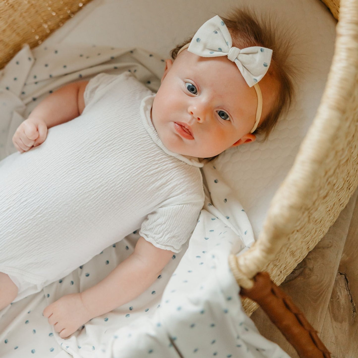 Bowtie Baby Bow - Haze