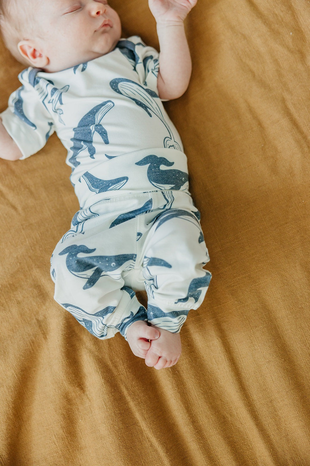 Baby Pants - Cove
