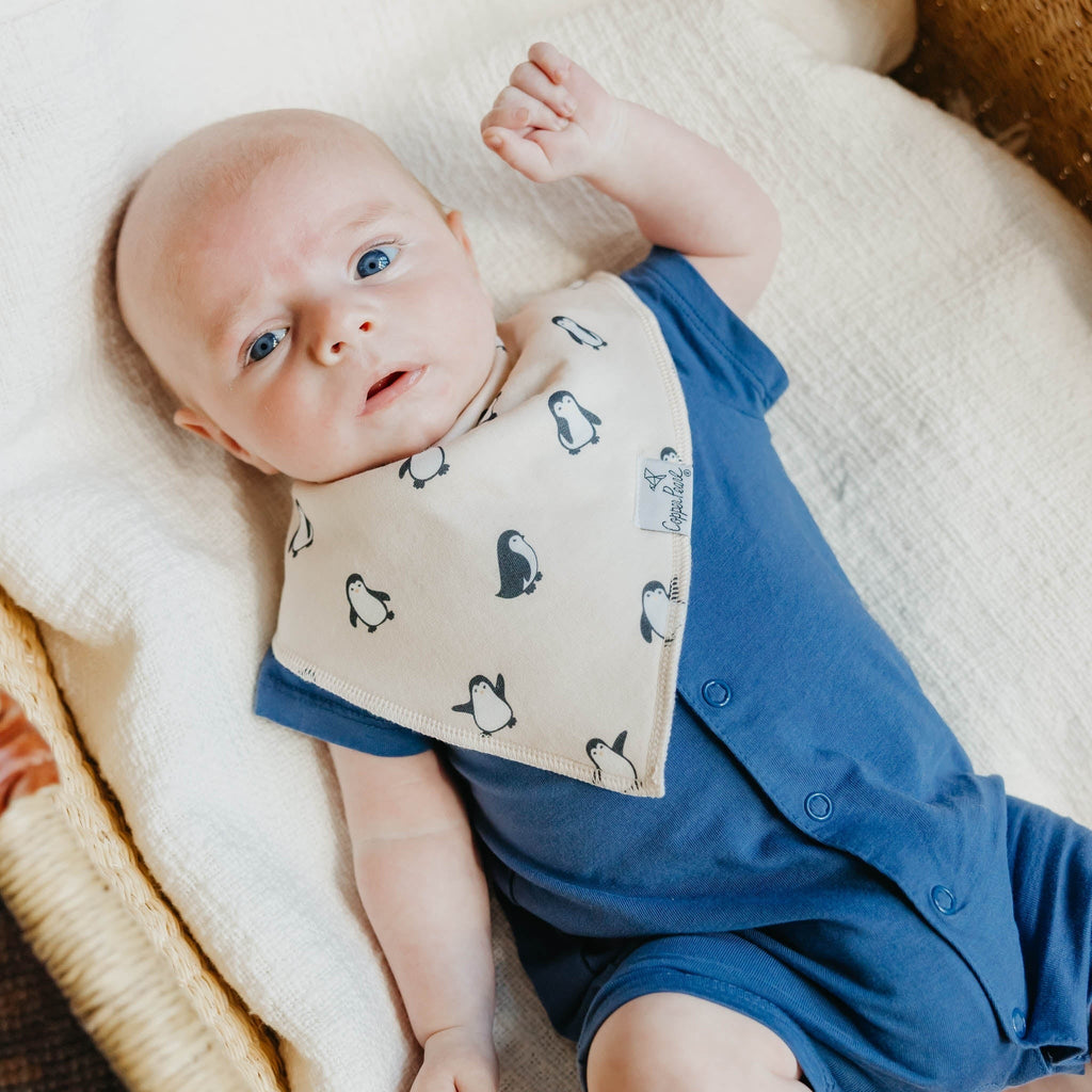 4 Pack Baby Bandana Bibs - Arctic Wonder