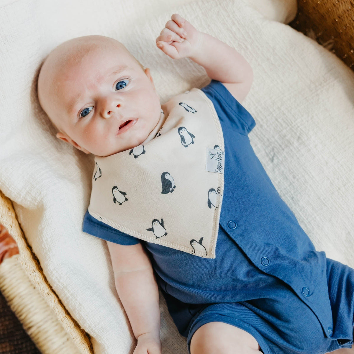 4 Pack Baby Bandana Bibs - Arctic Wonder