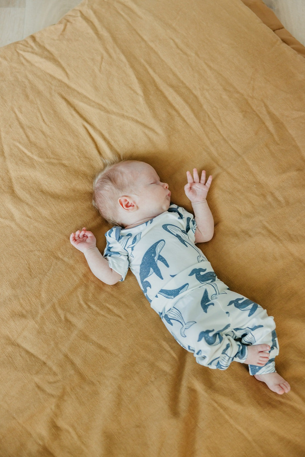 Baby Pants - Cove