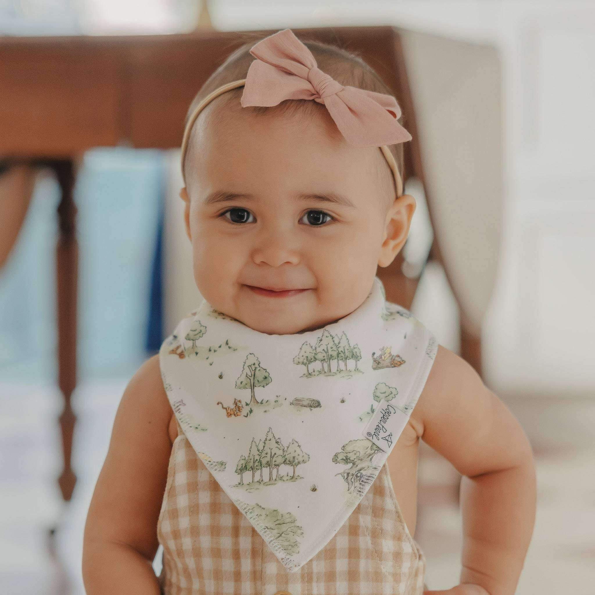 4 Pack Baby Bandana Bibs - Hundred Acre Wood
