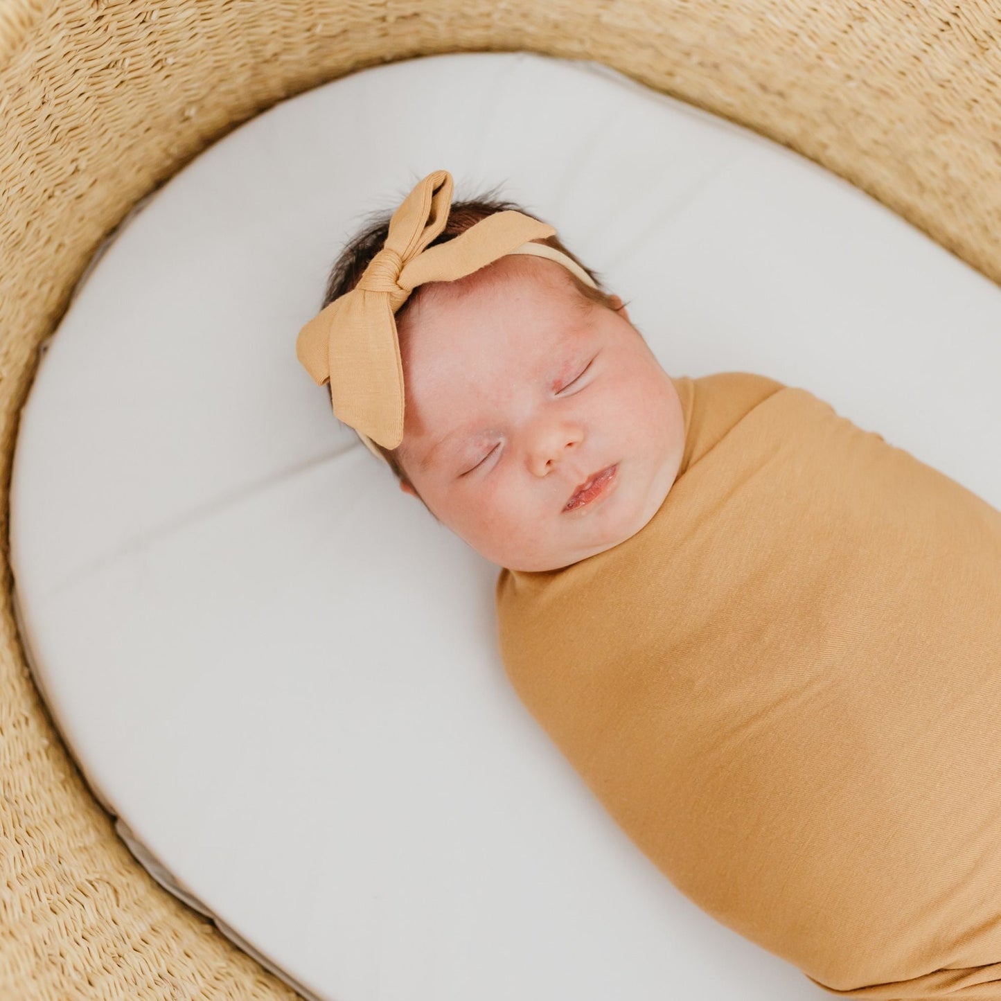 Classic Baby Bow - Dune