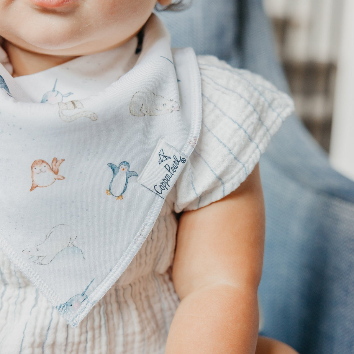 4 Pack Baby Bandana Bibs - Arctic Wonder