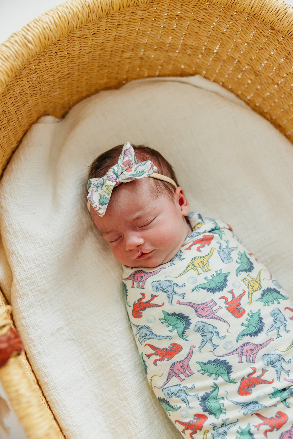 Ribbon Baby Bow - Dinosaurs of Jurassic Park