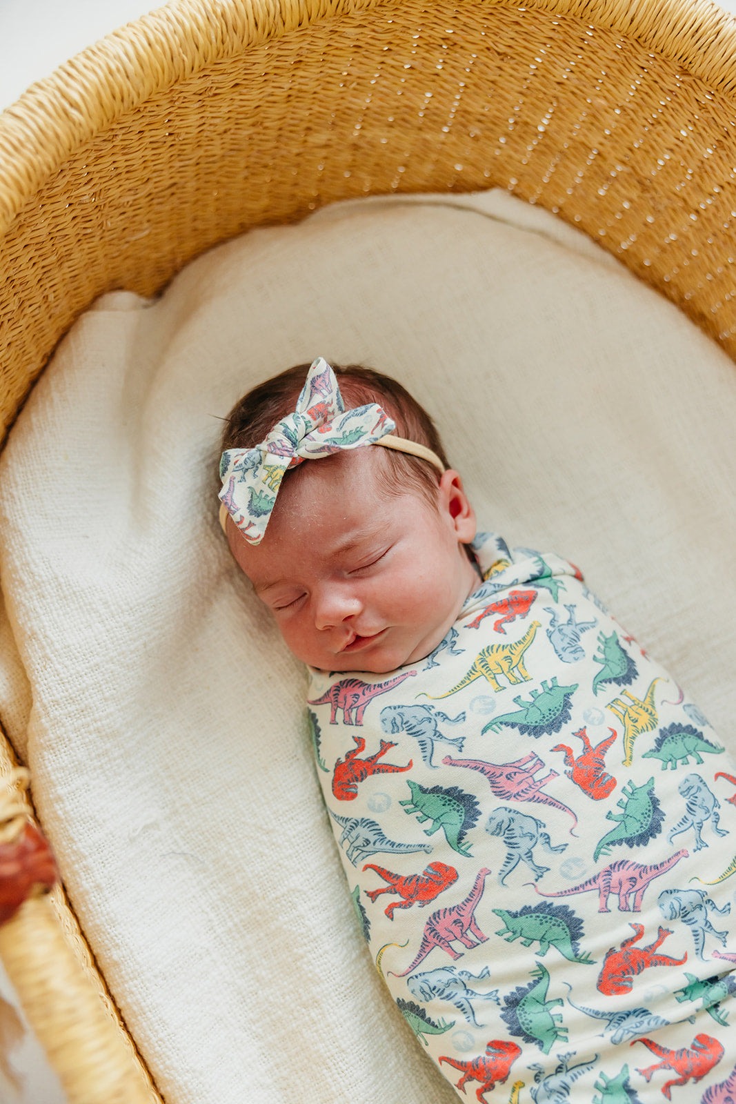 Ribbon Baby Bow - Dinosaurs of Jurassic Park