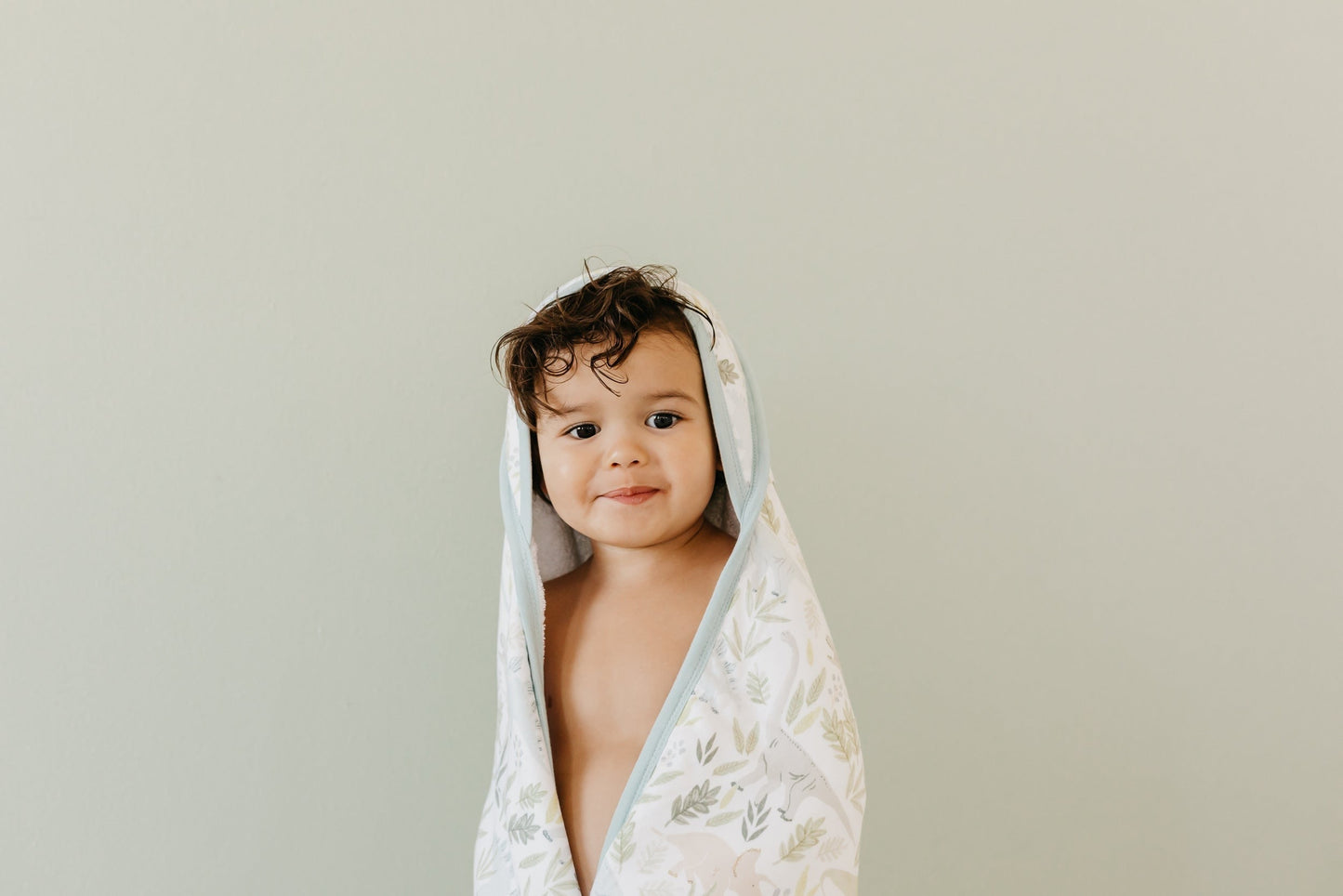 Premium Baby Knit Hooded Towel - Rex